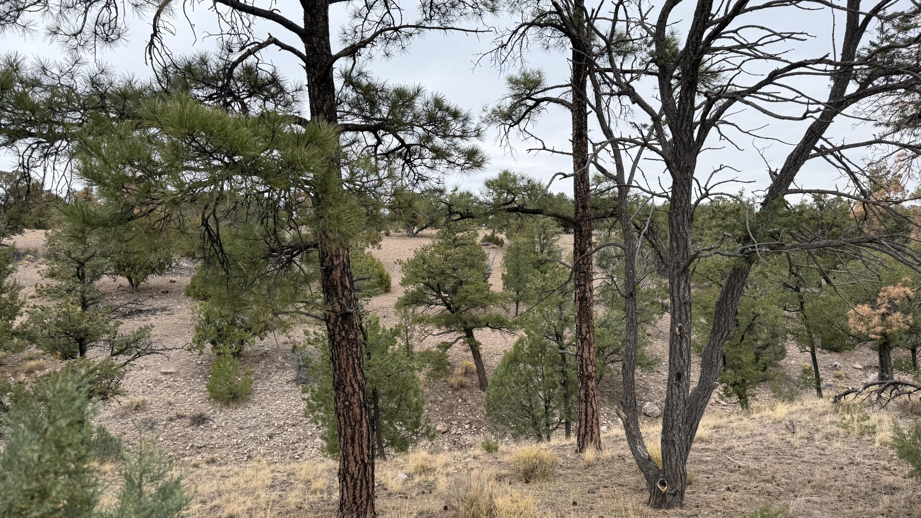 37 Wilderness Circle