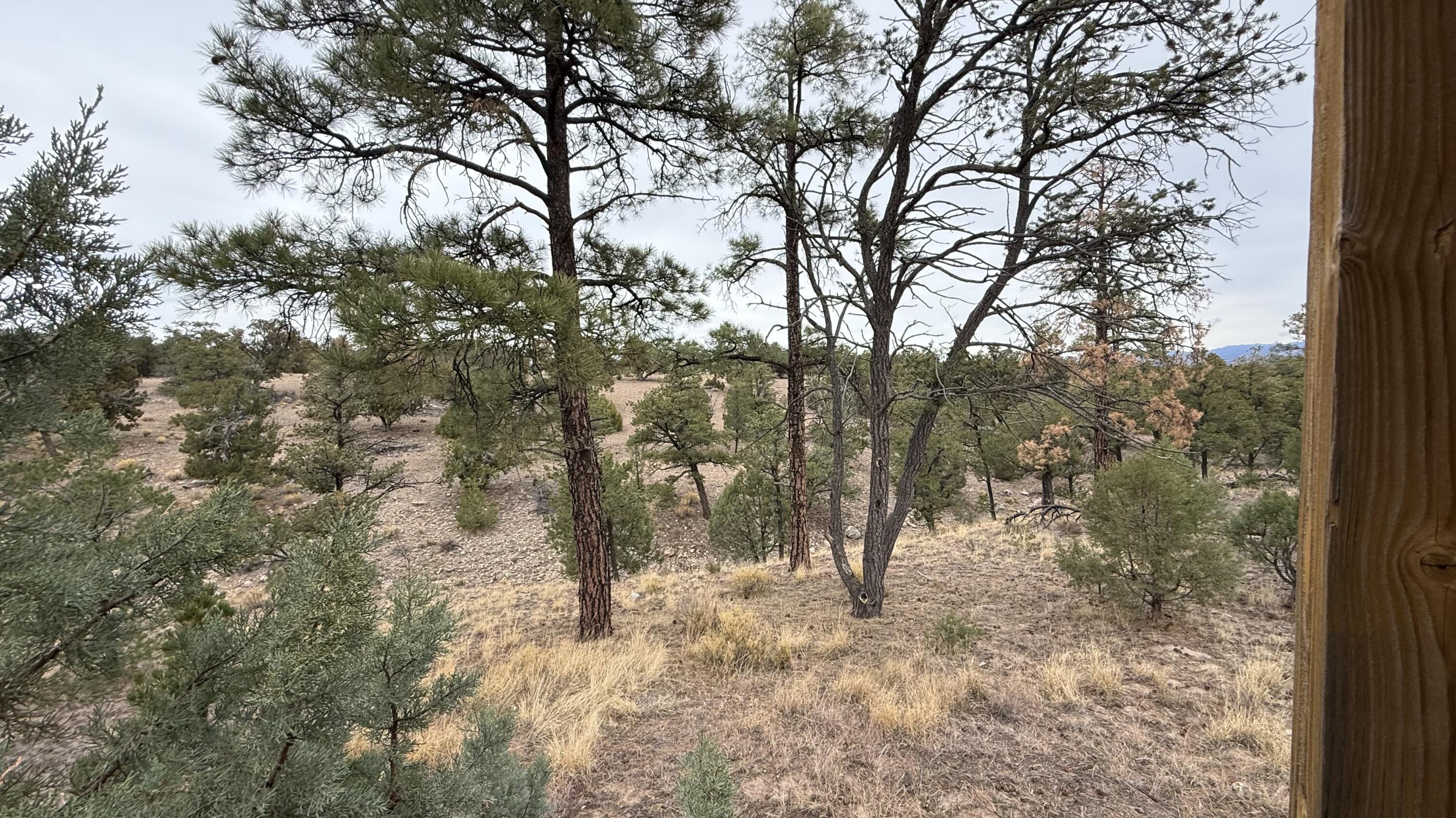 37 Wilderness Circle