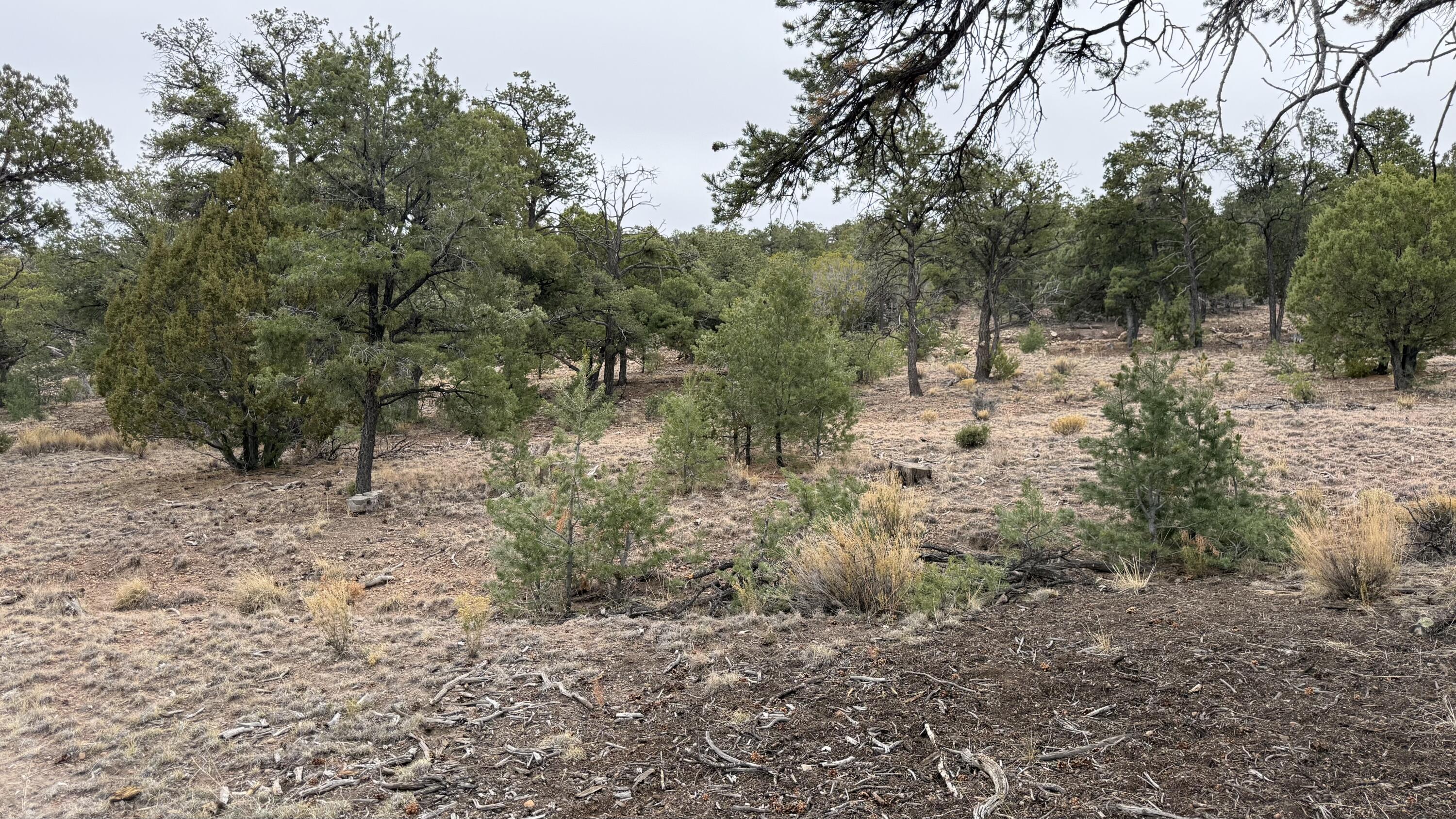 37 Wilderness Circle