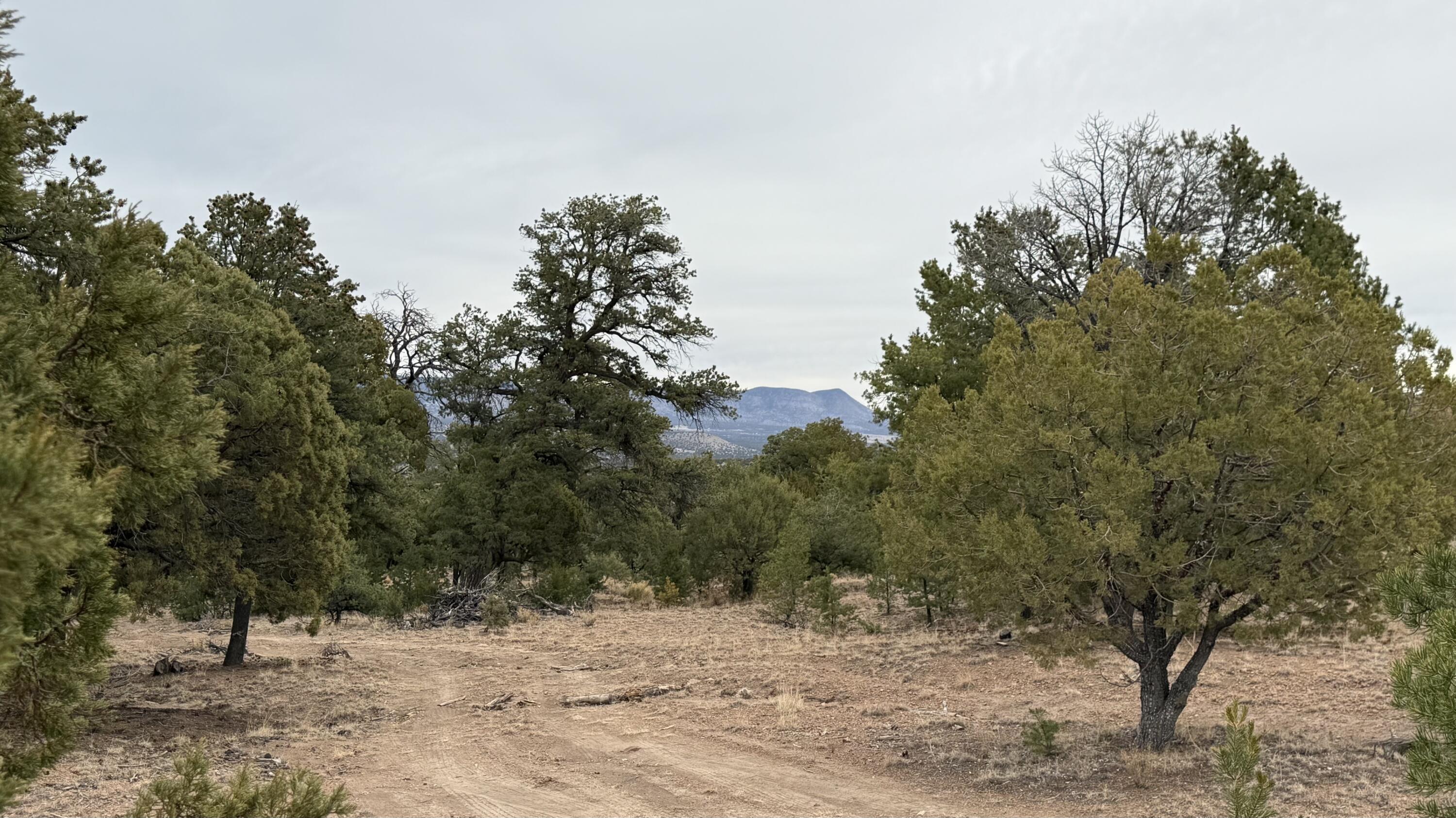 37 Wilderness Circle