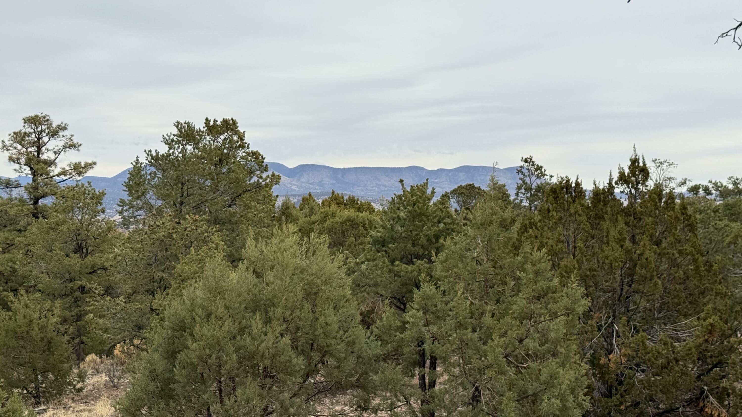 37 Wilderness Circle