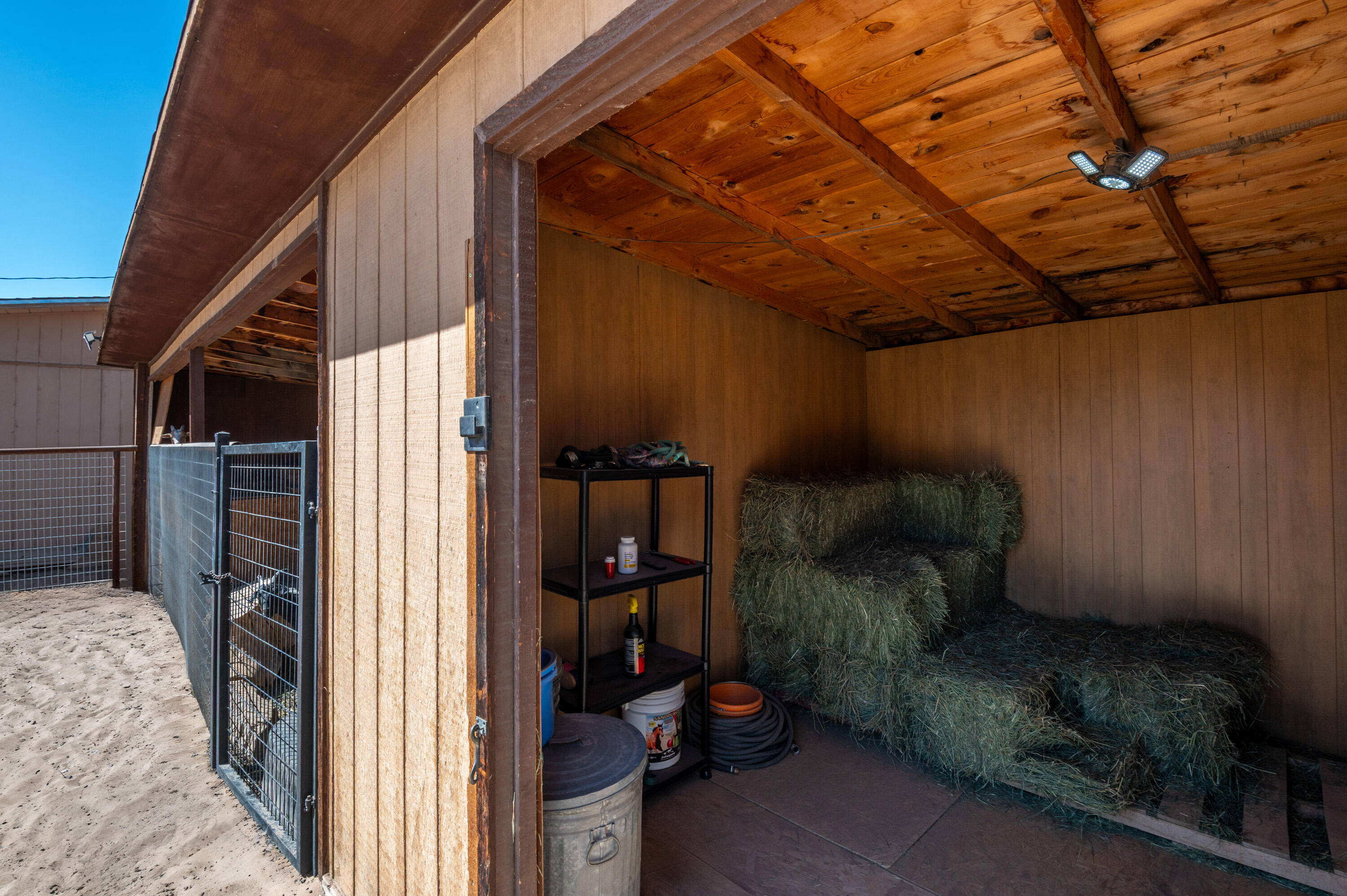 10609 Calle De Elena