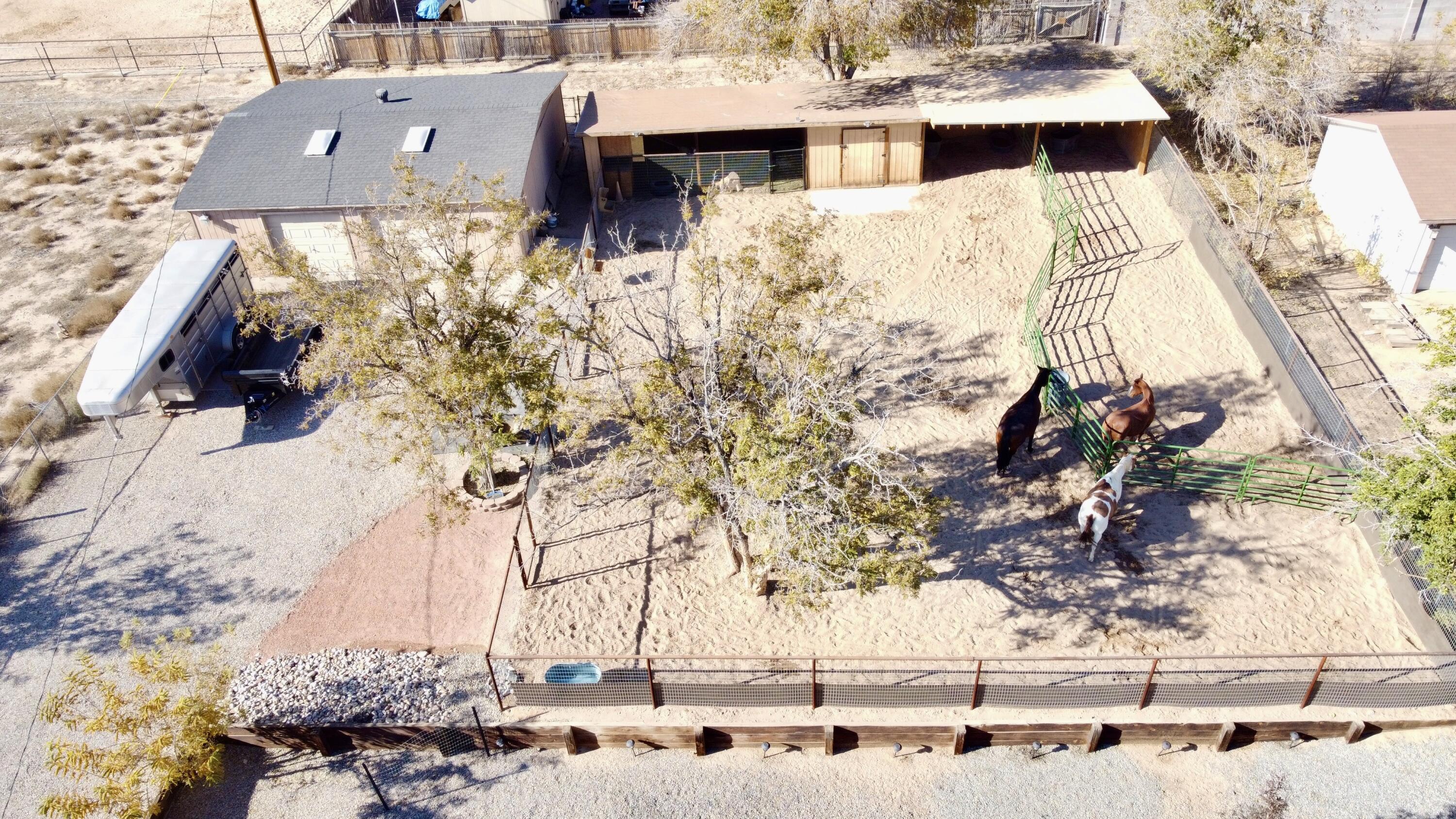 10609 Calle De Elena