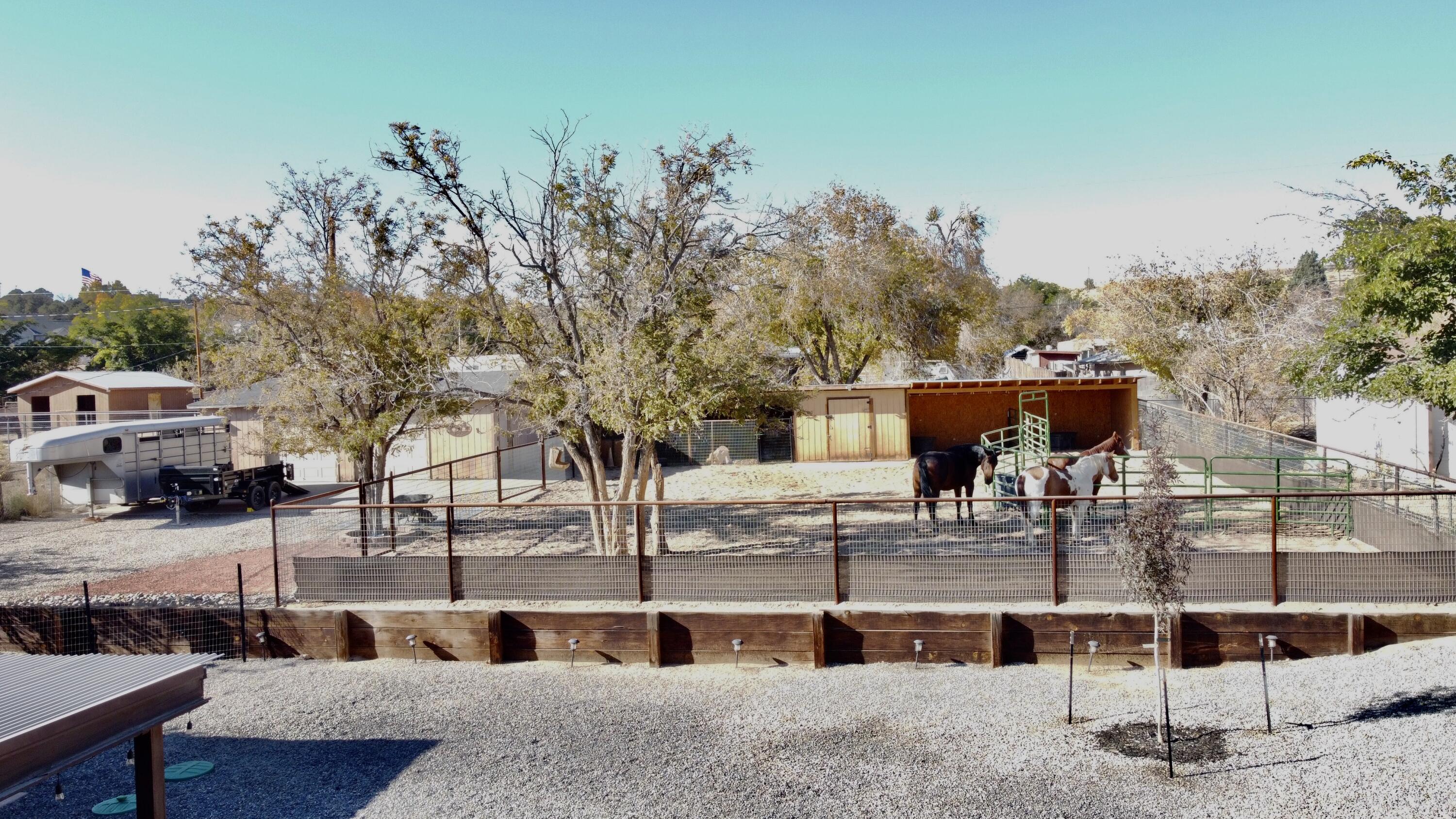 10609 Calle De Elena