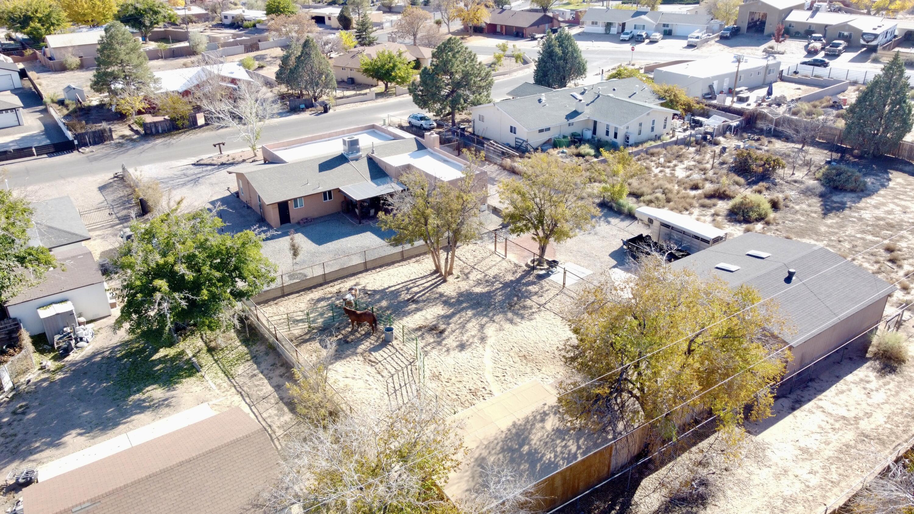 10609 Calle De Elena