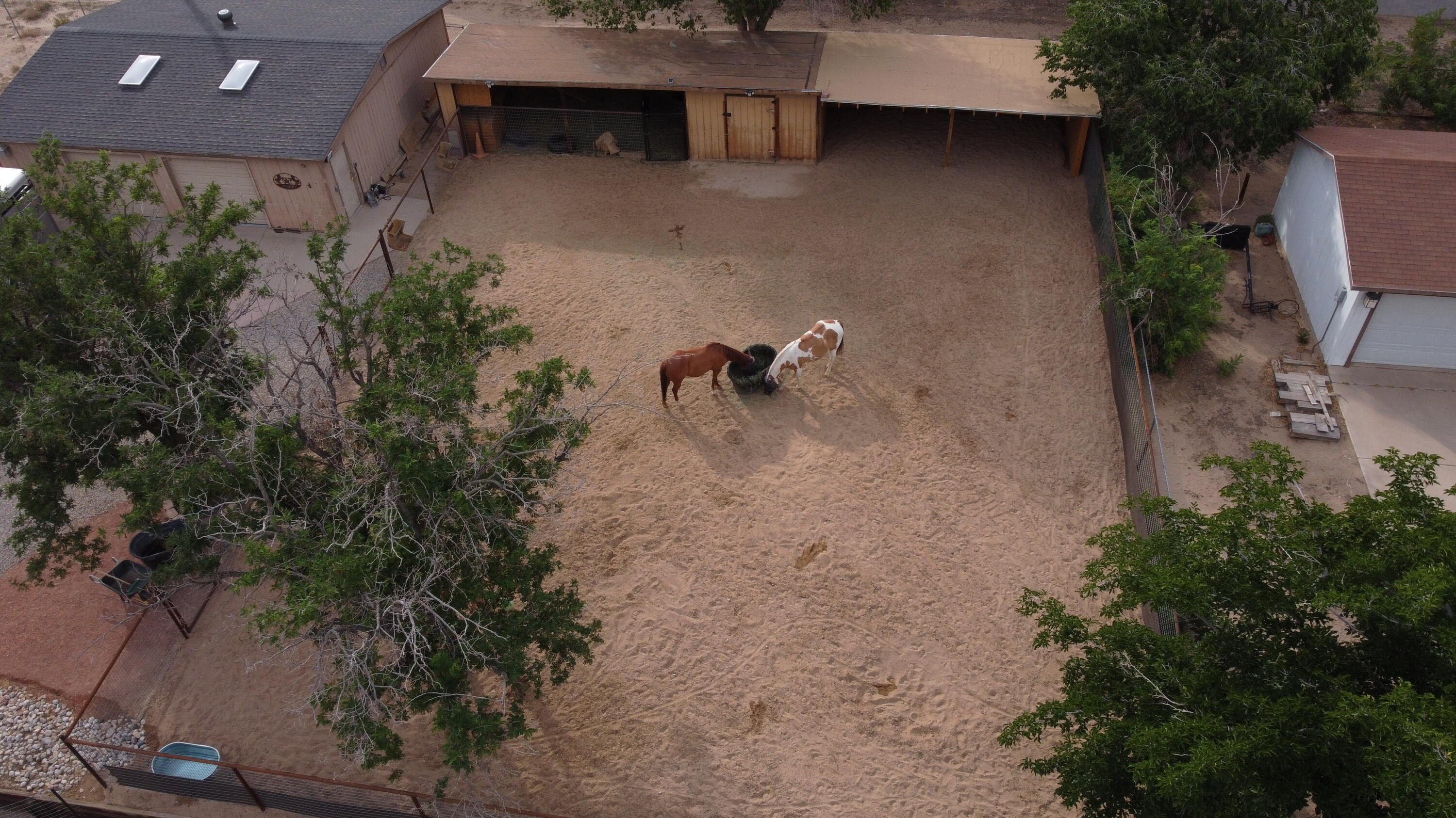 10609 Calle De Elena