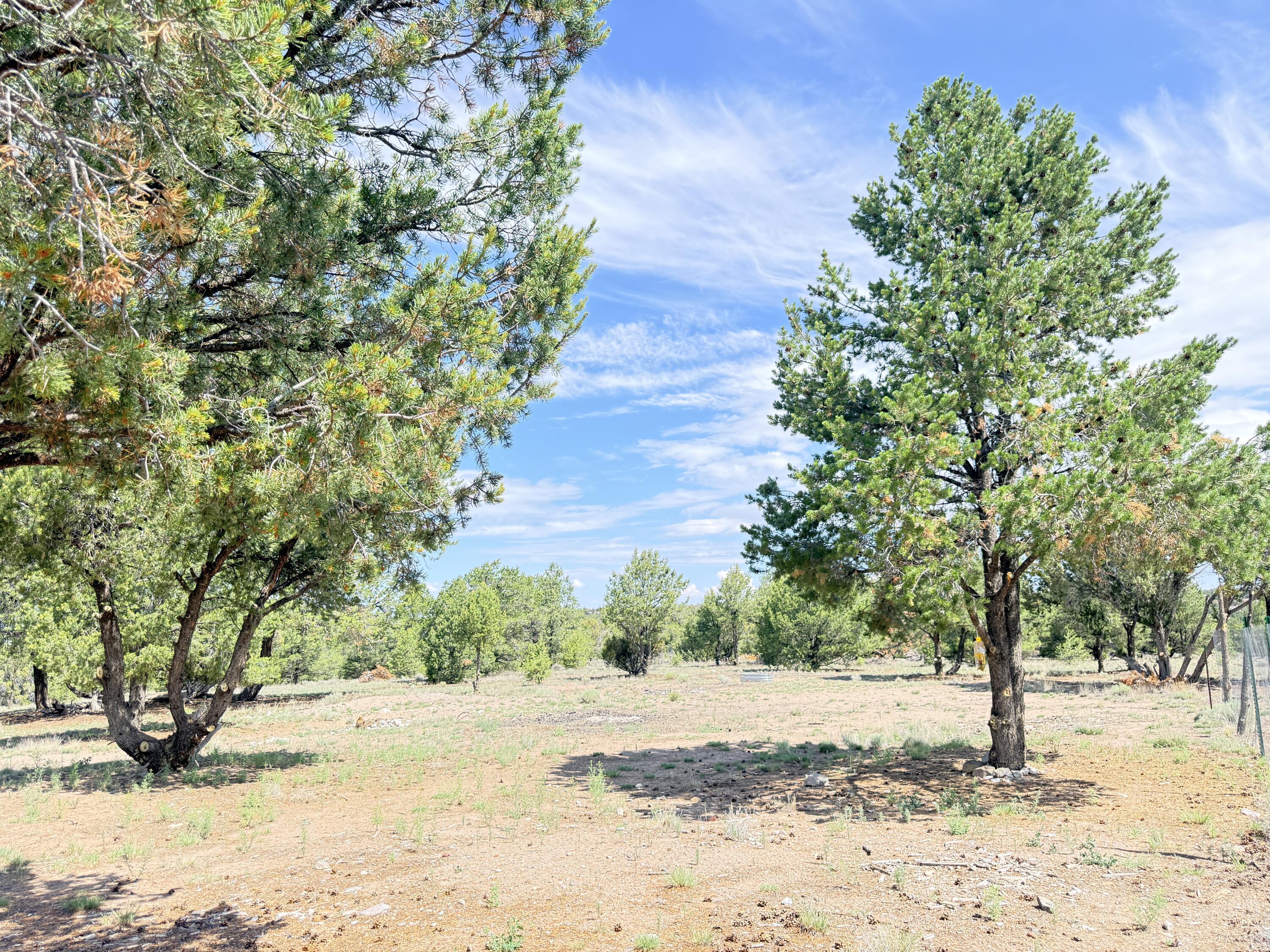 47 Pinewood Circle