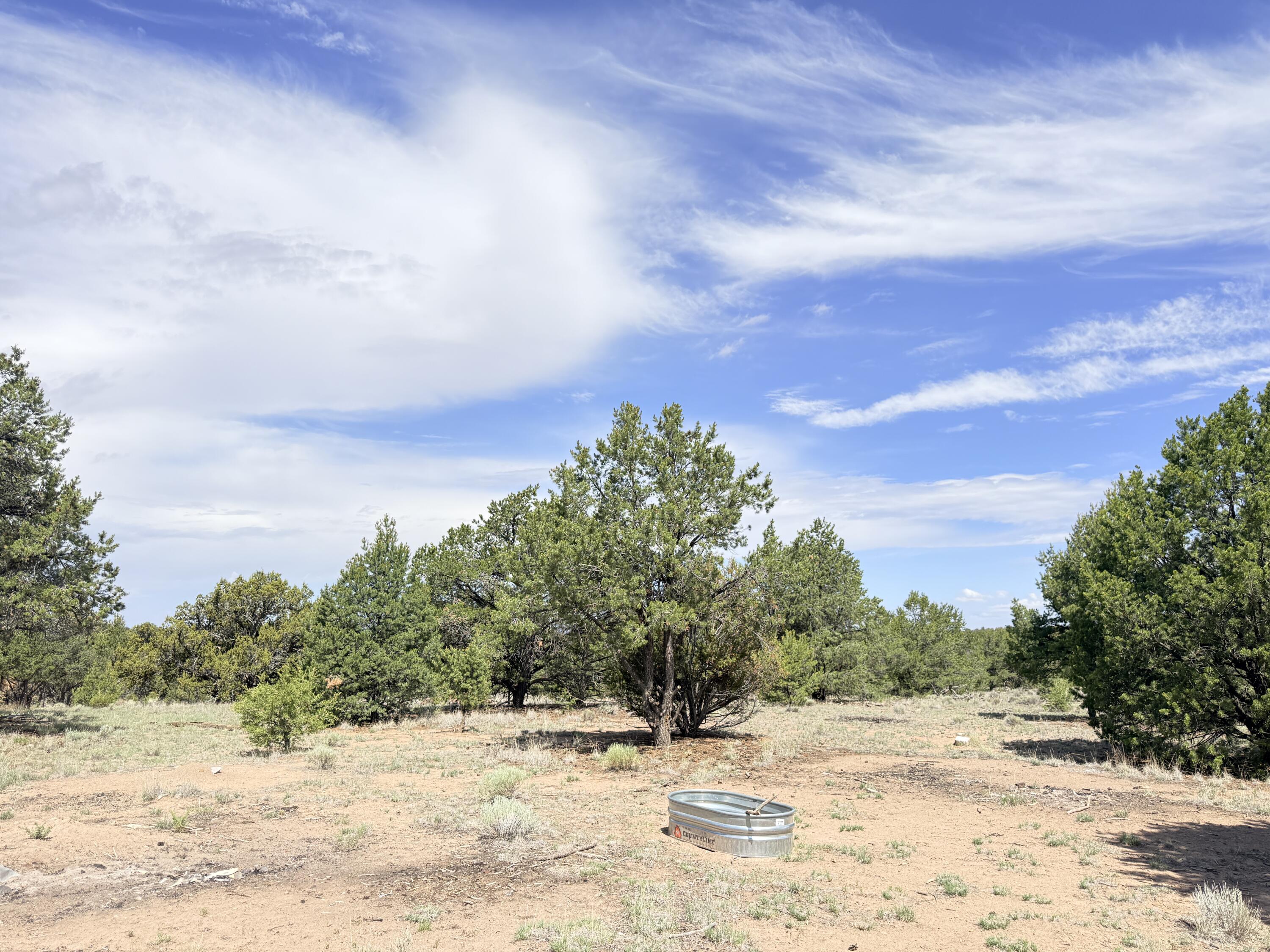 47 Pinewood Circle