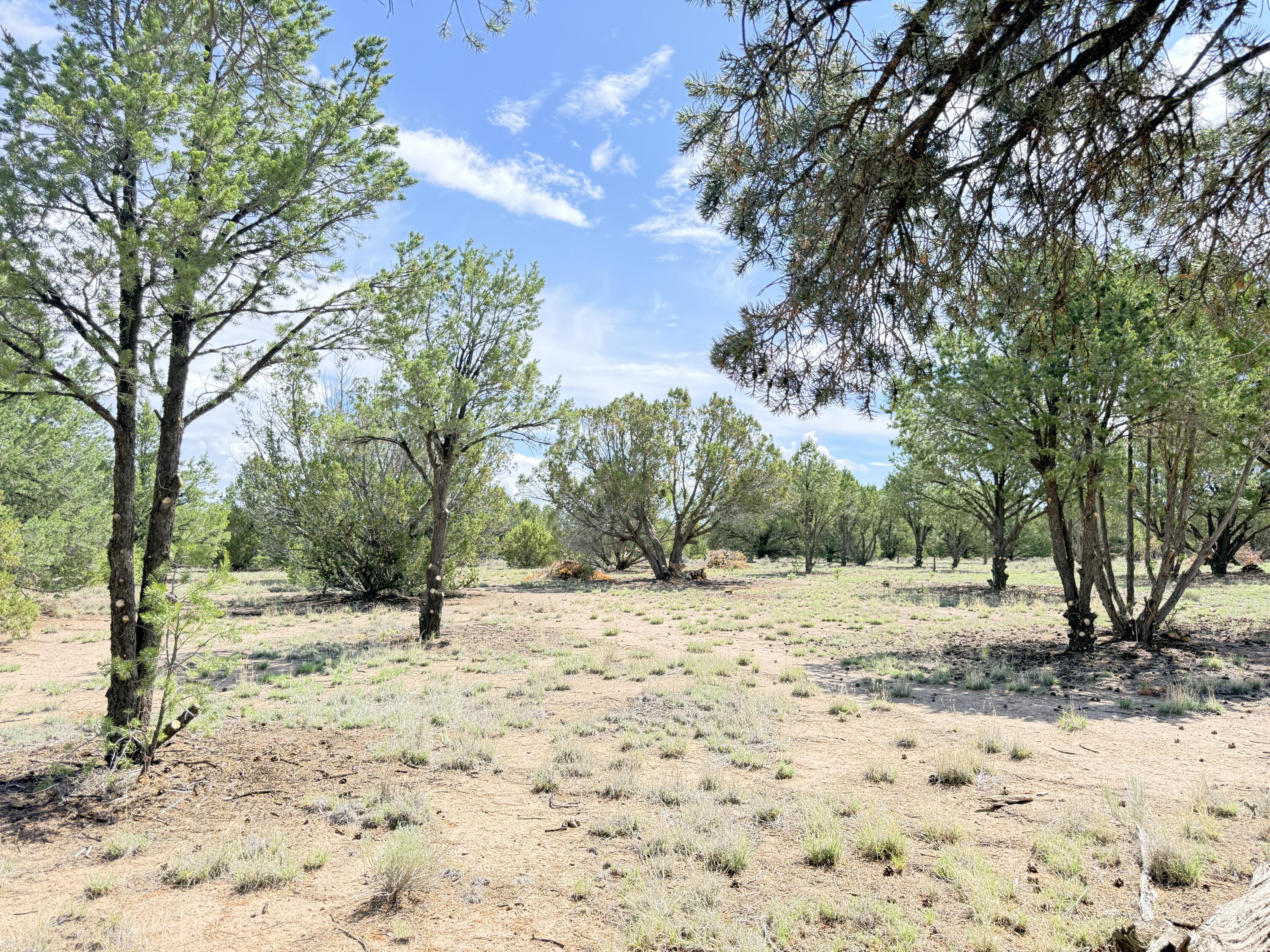 47 Pinewood Circle