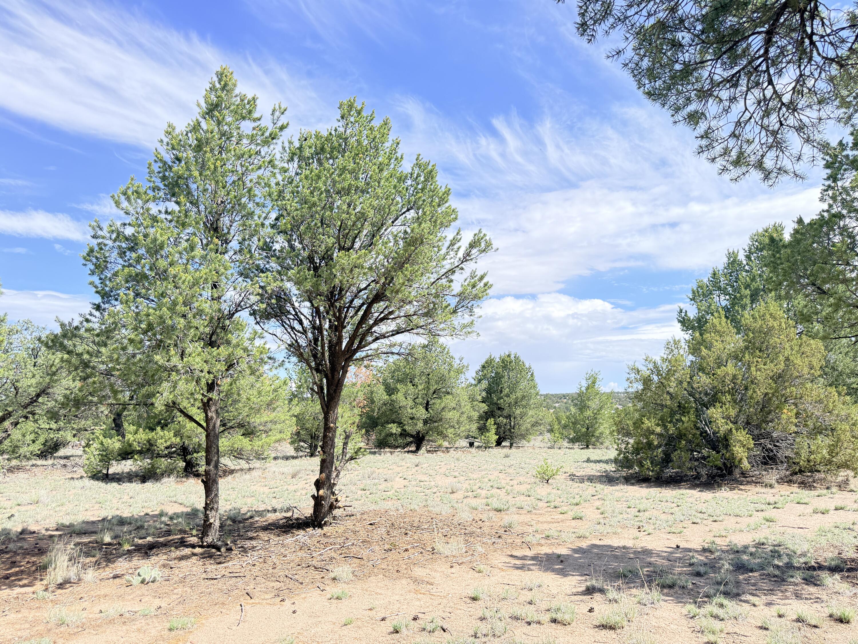 47 Pinewood Circle