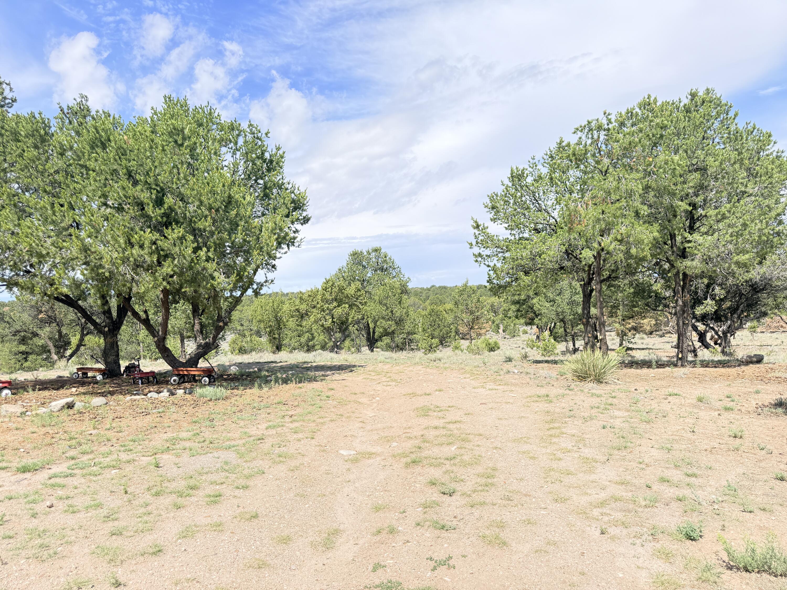 47 Pinewood Circle