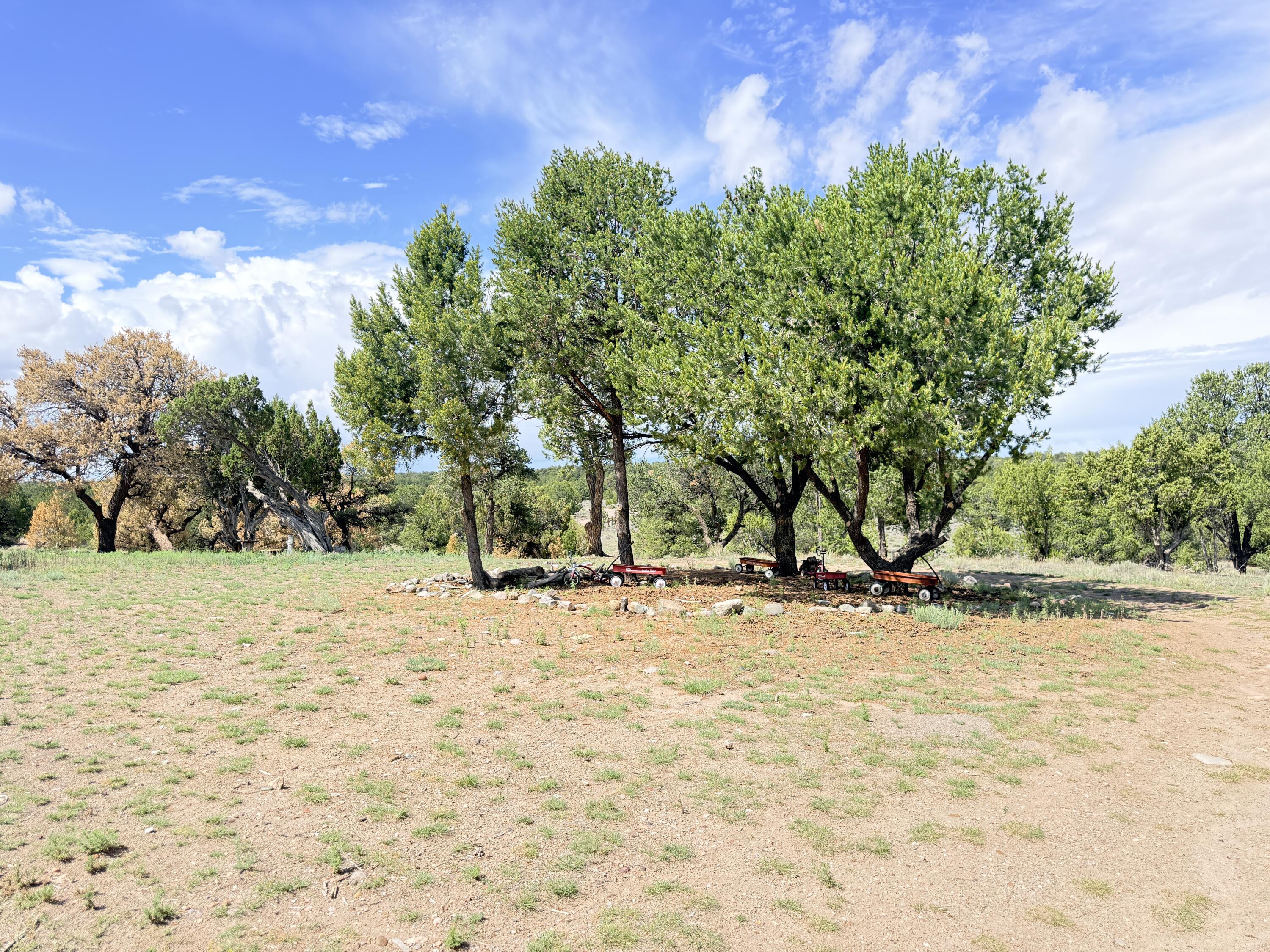 47 Pinewood Circle