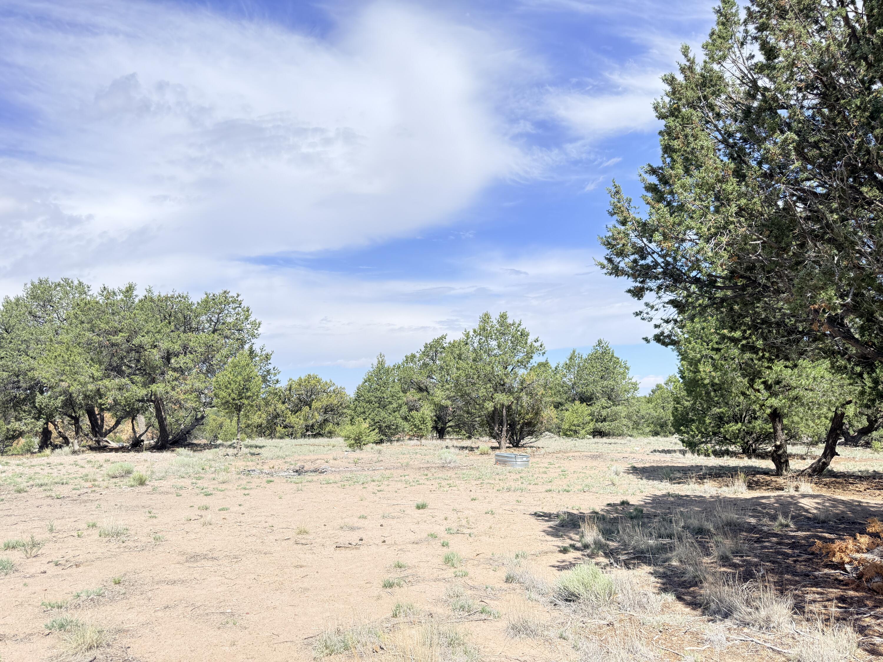 47 Pinewood Circle