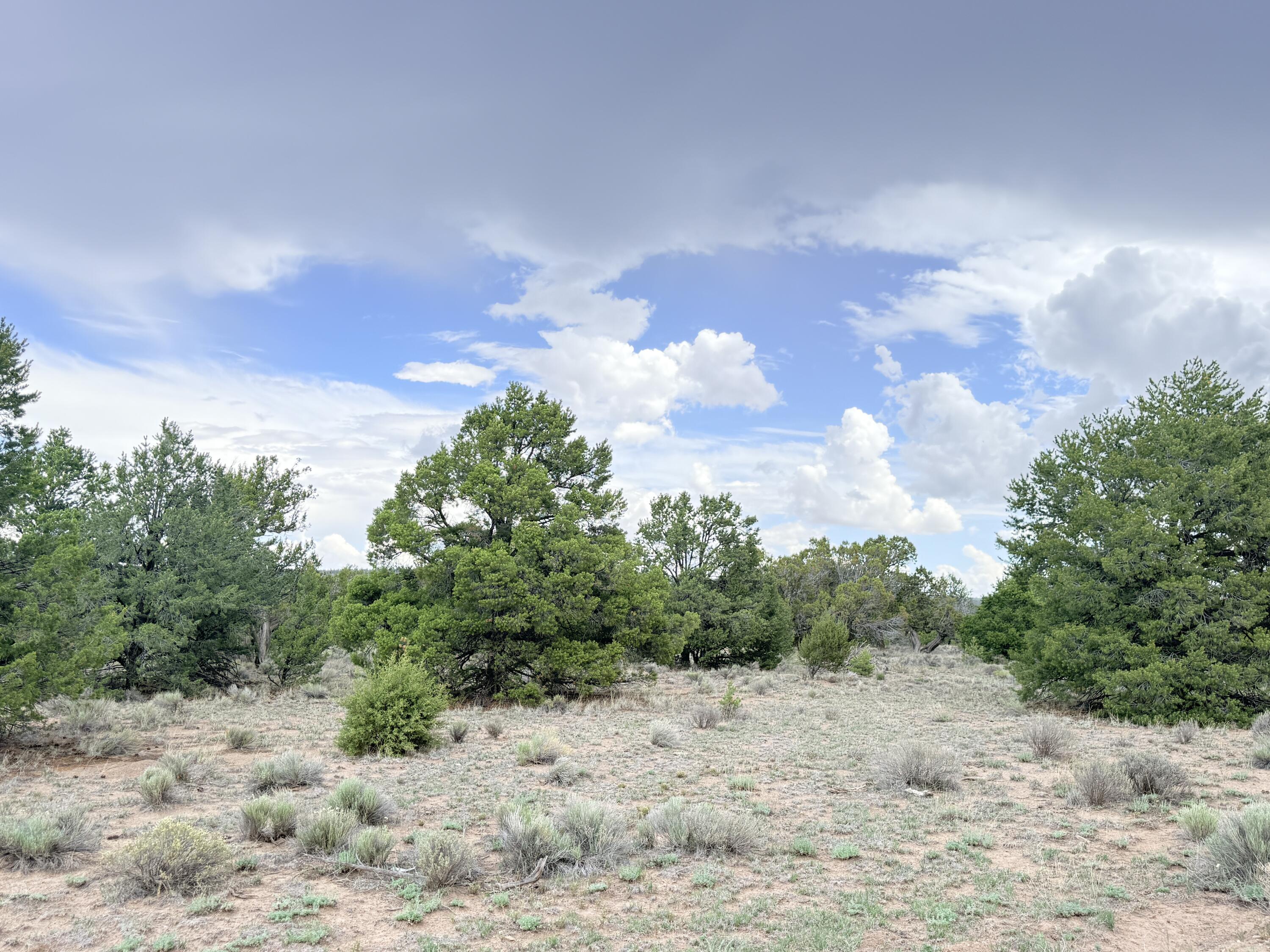 47 Pinewood Circle