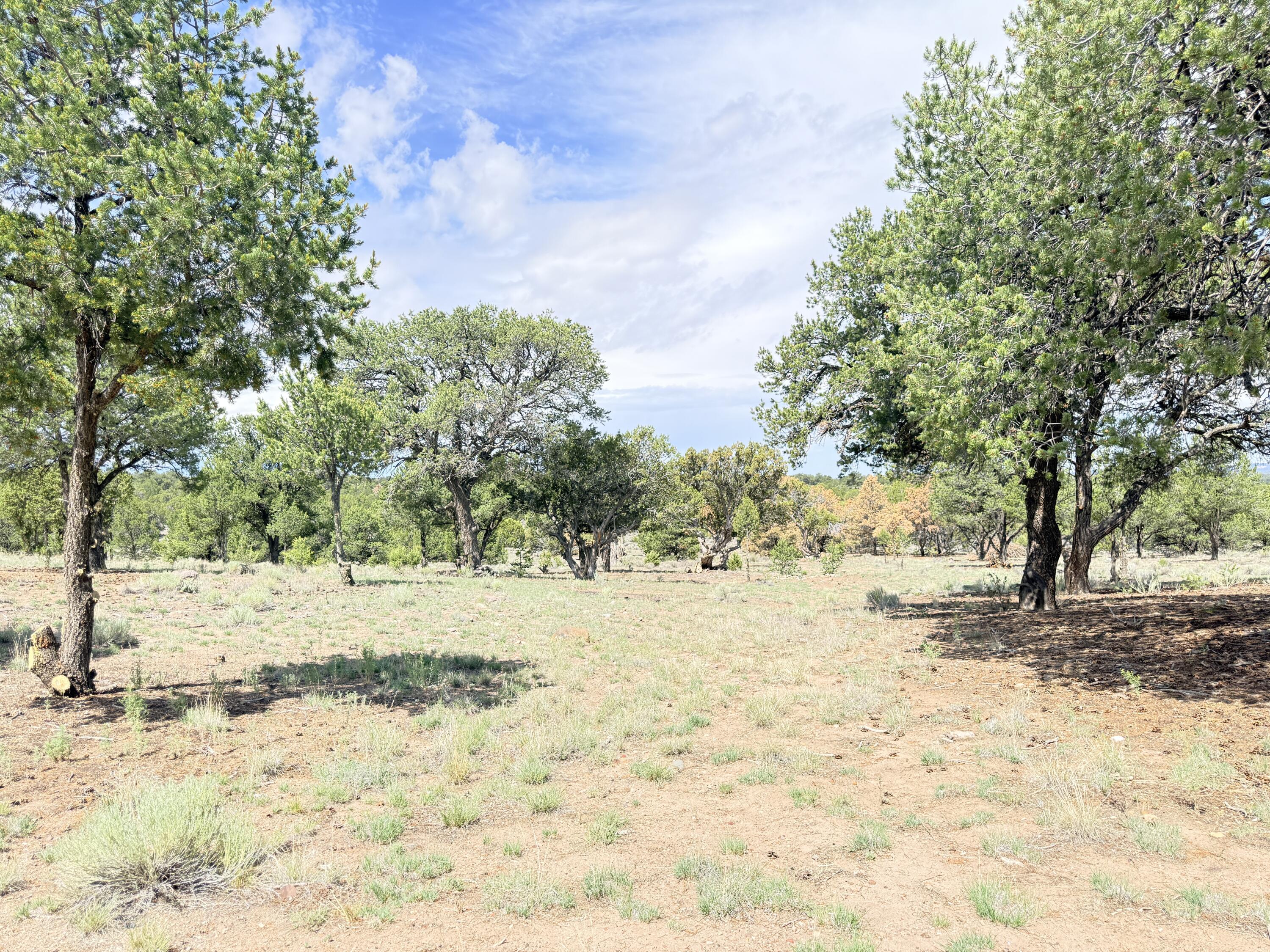 47 Pinewood Circle