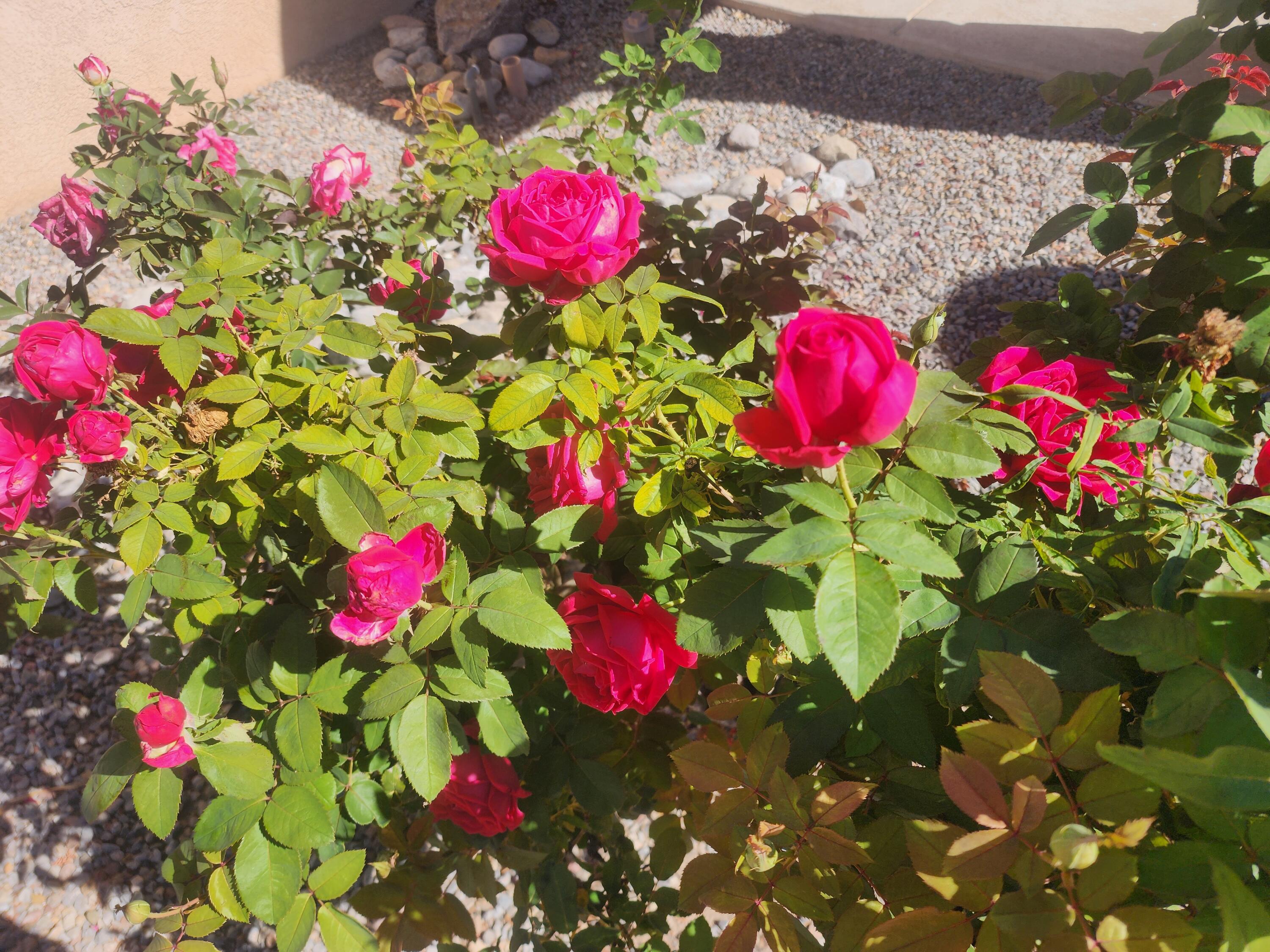 612 Lone River Trail SW