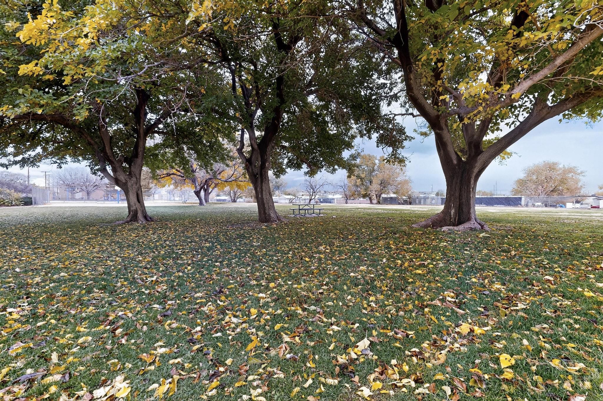 305 San Jose Avenue SE