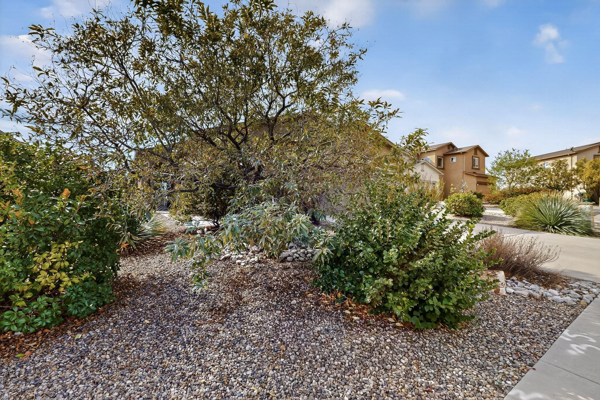 1419 Blue Sky Loop NE