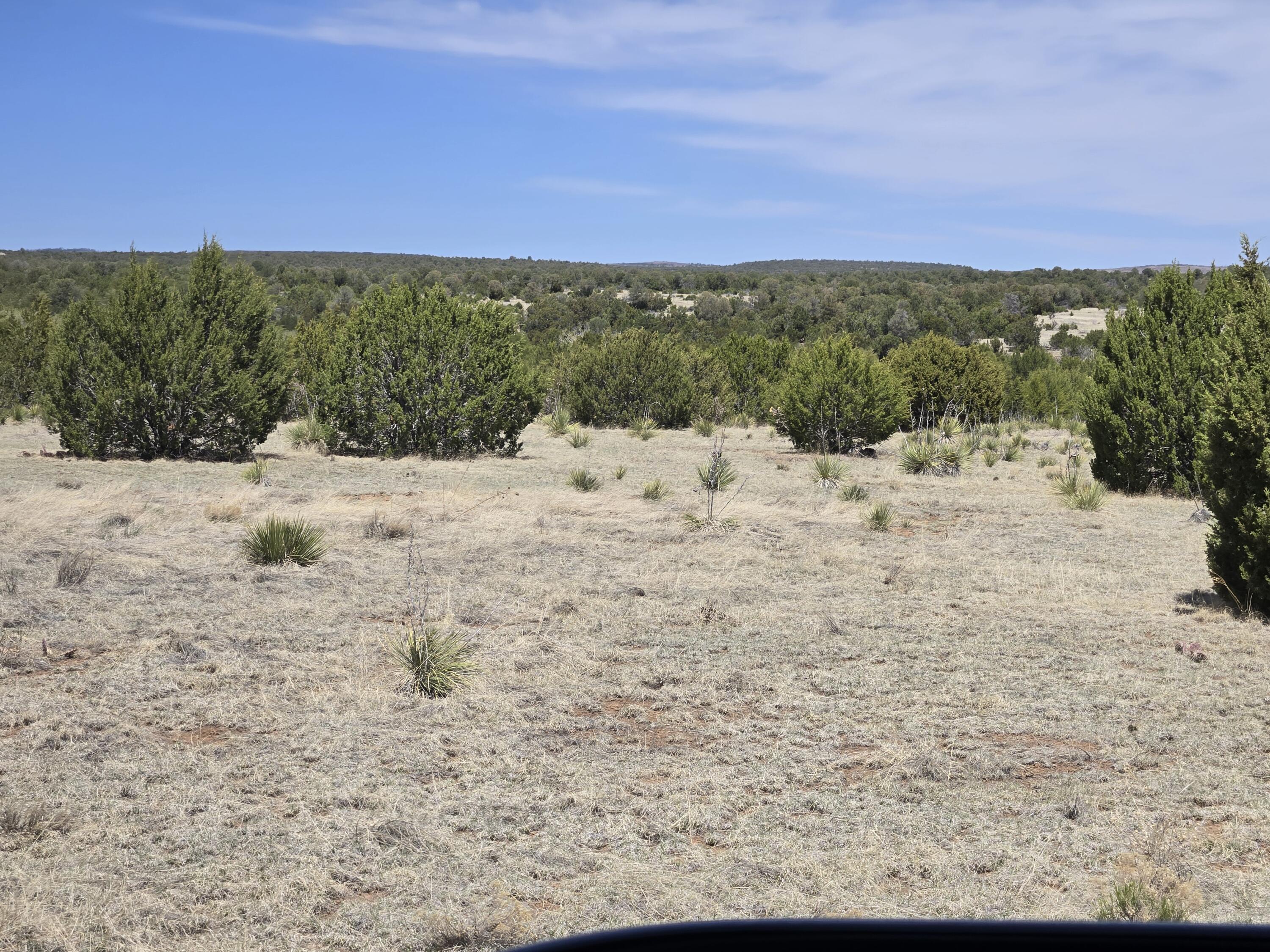0 Oakwood Loop 2