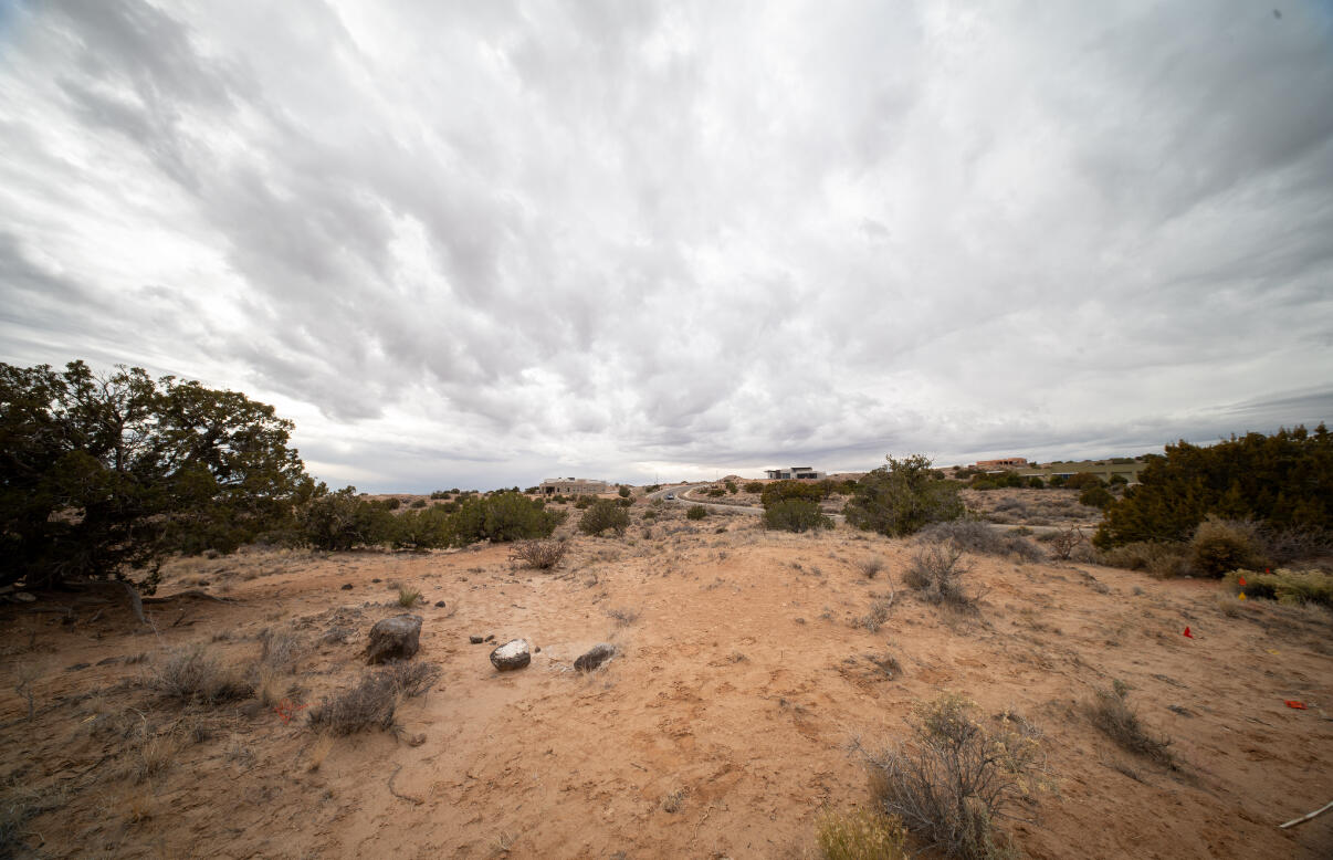 2403 Desert Zinnia Road