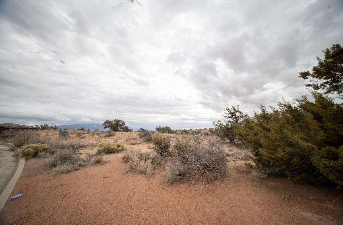 2403 Desert Zinnia Road