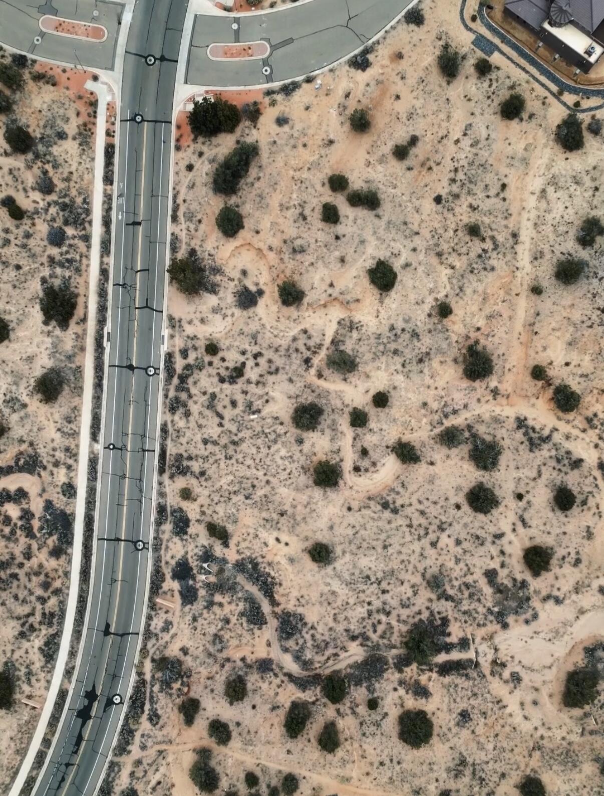 2403 Desert Zinnia Road