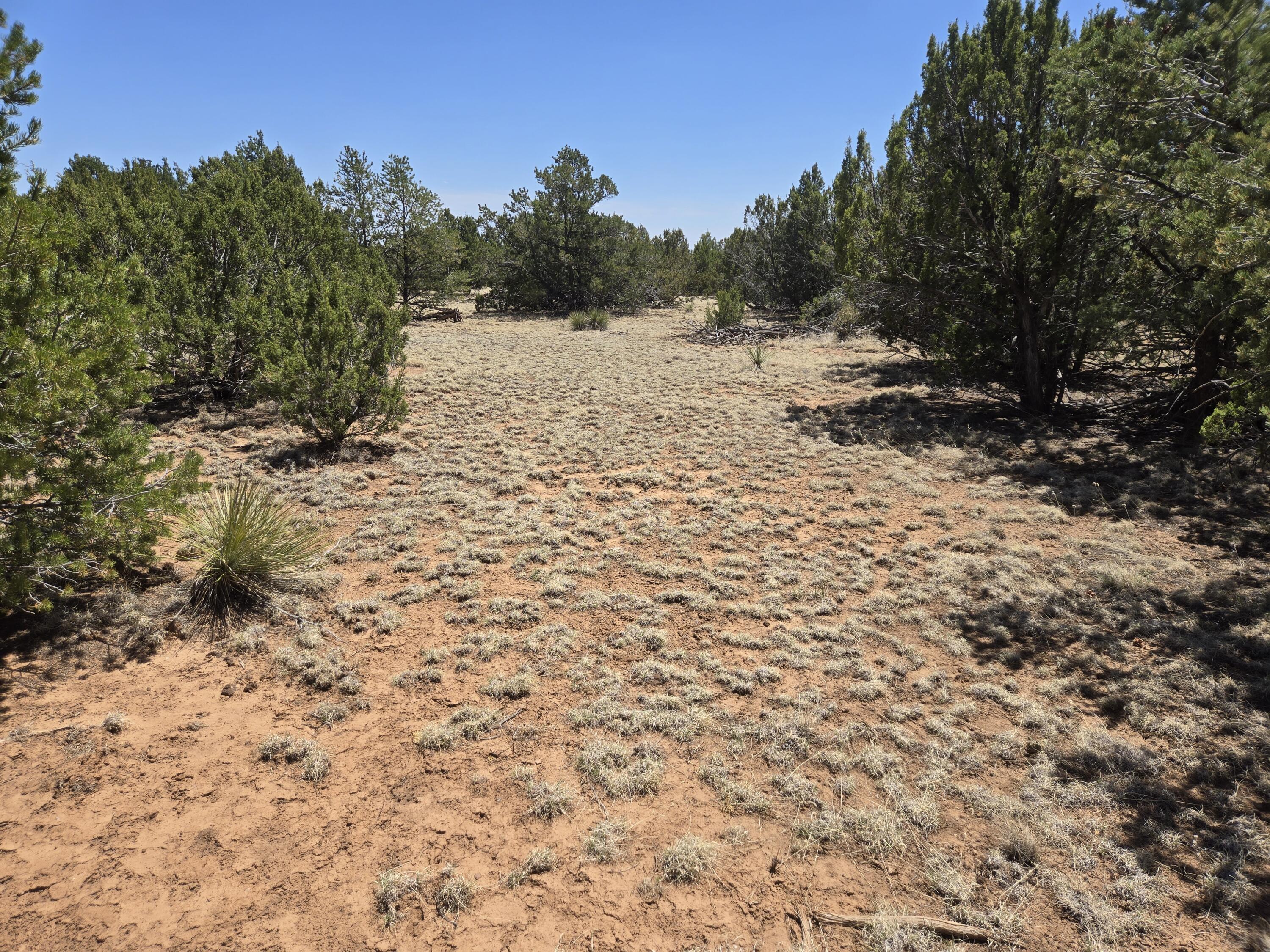 0 County Rd A102 15