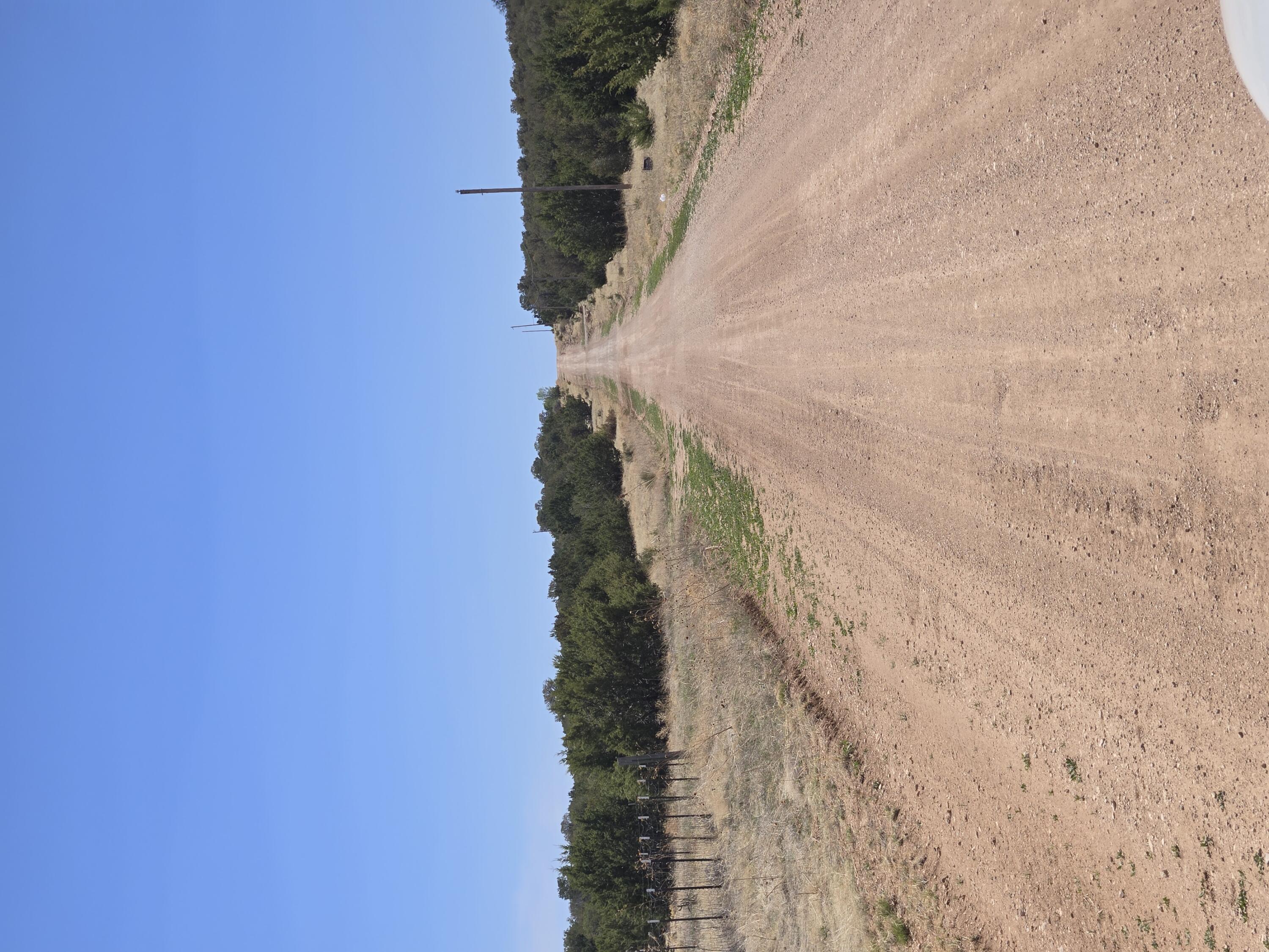 0 Rosewood Road 11