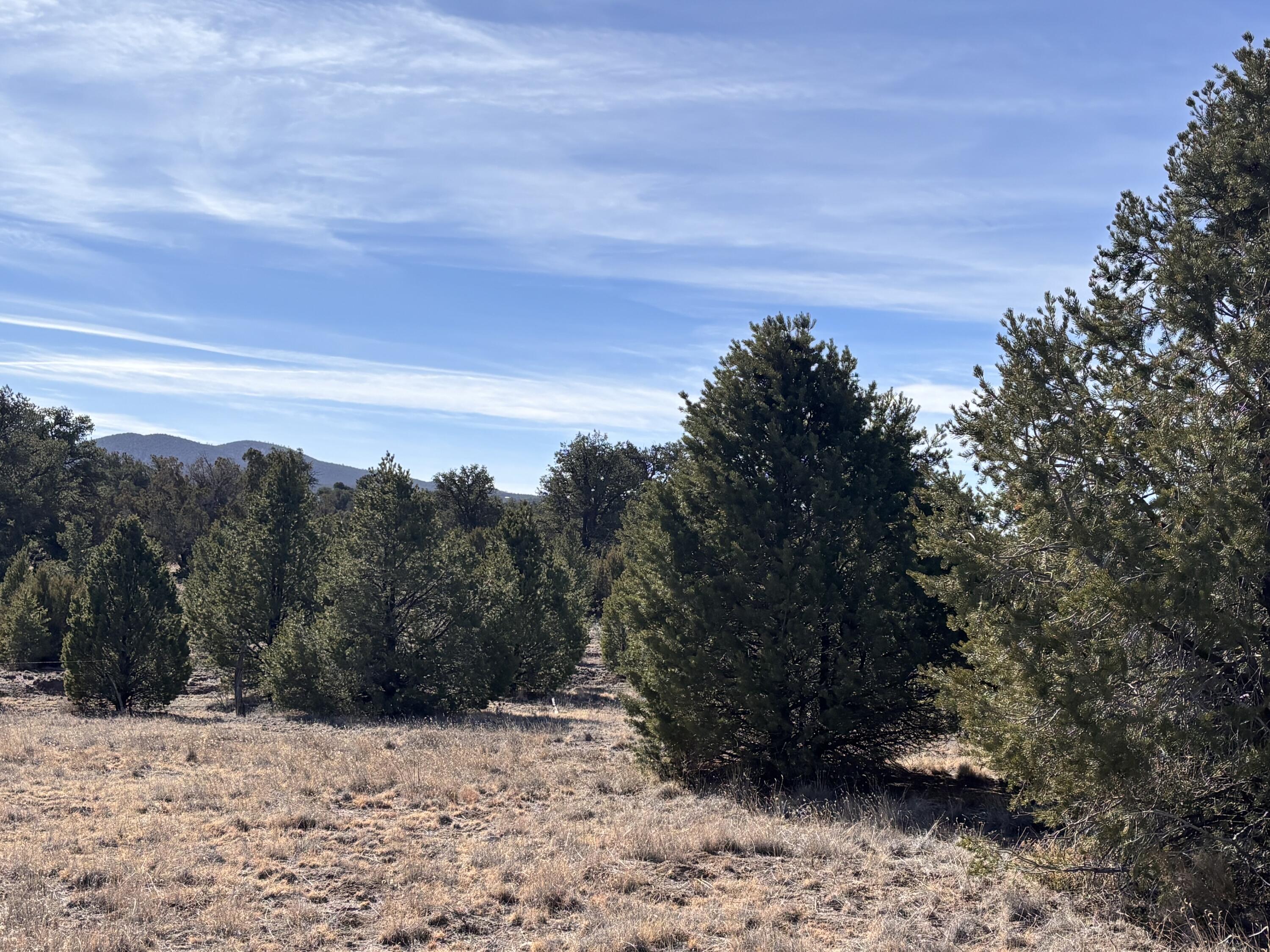 Lot 17 Horse Peek Ranches