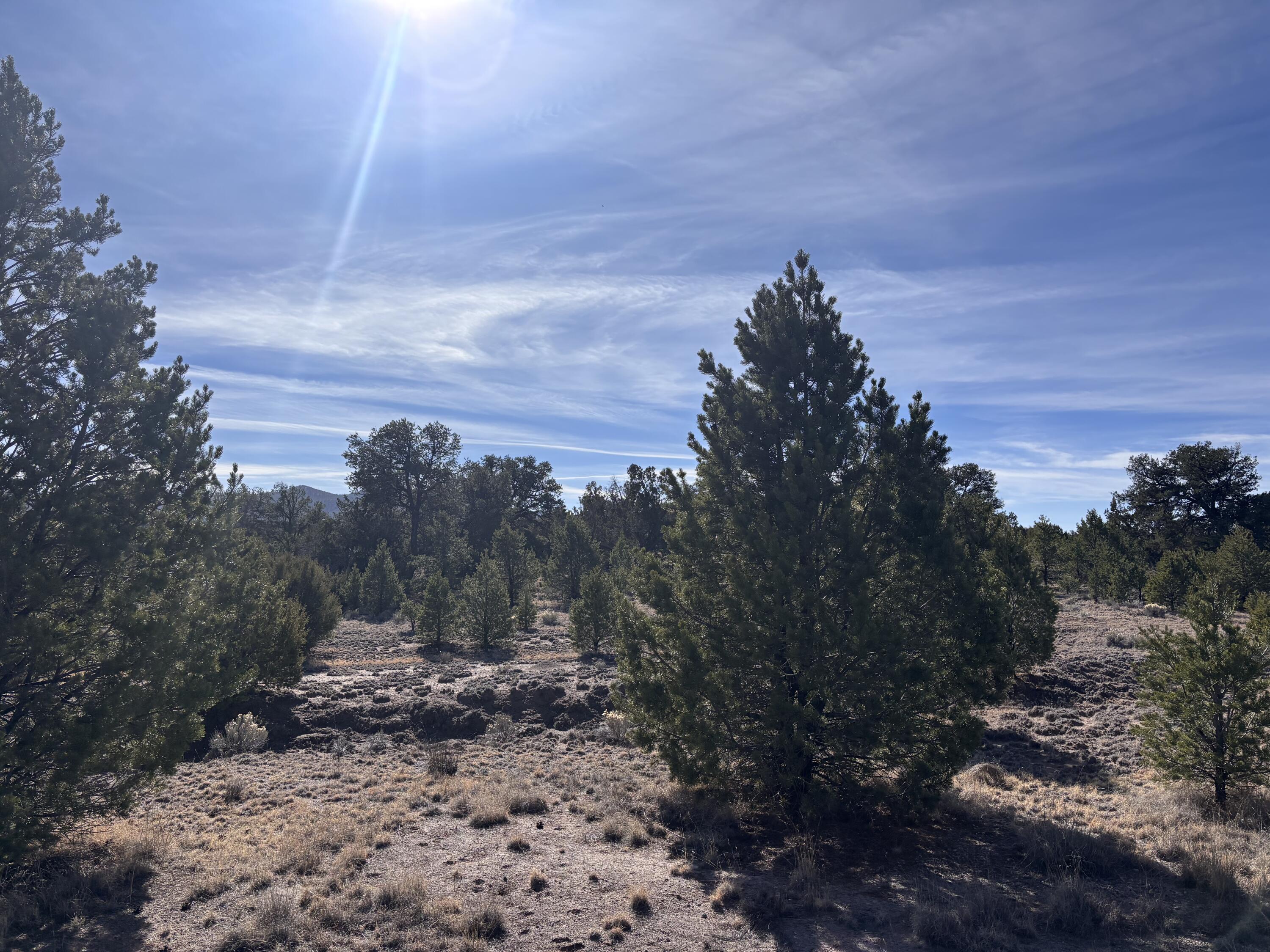 Lot 17 Horse Peek Ranches