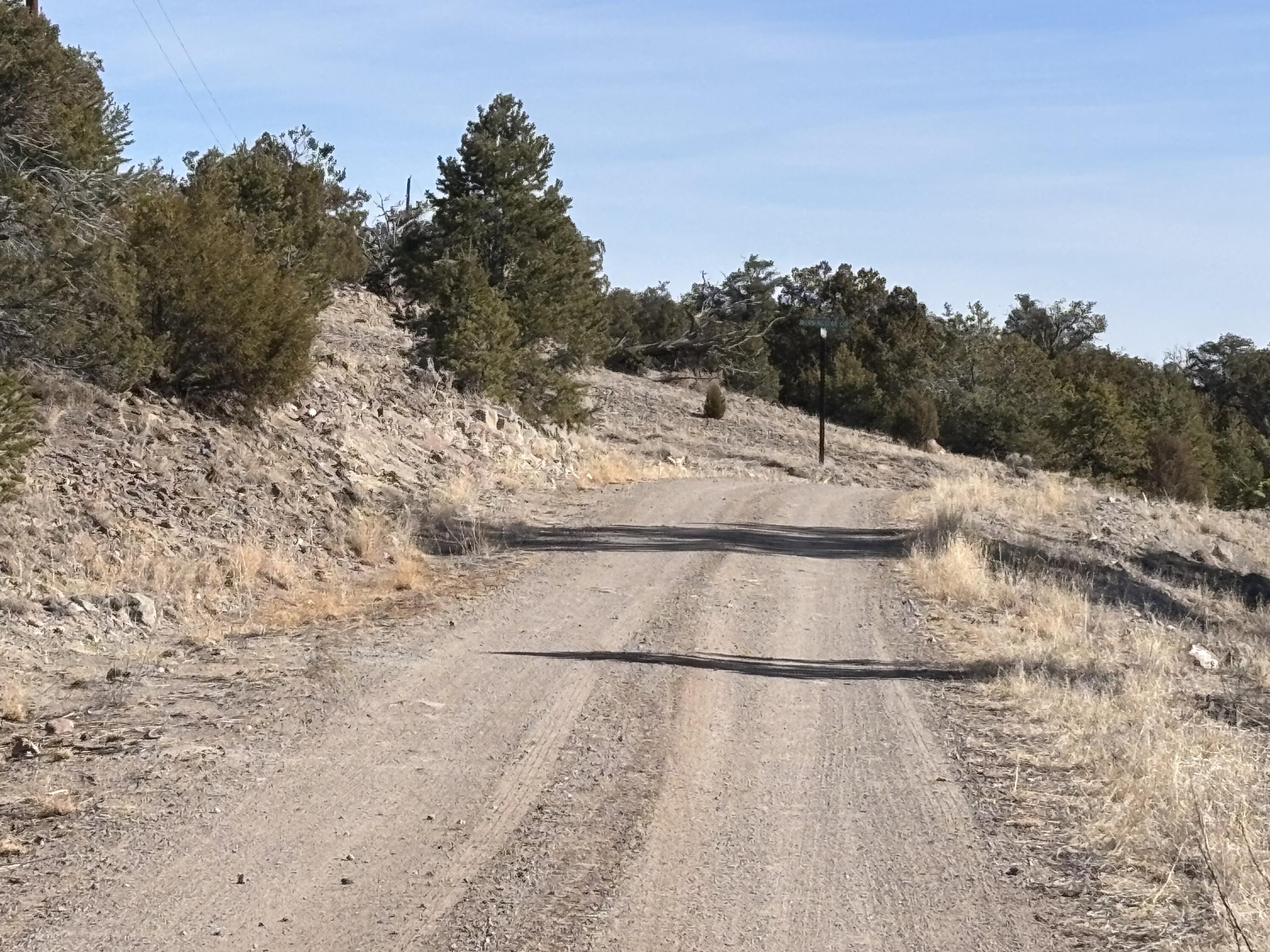 Lot 17 Horse Peek Ranches