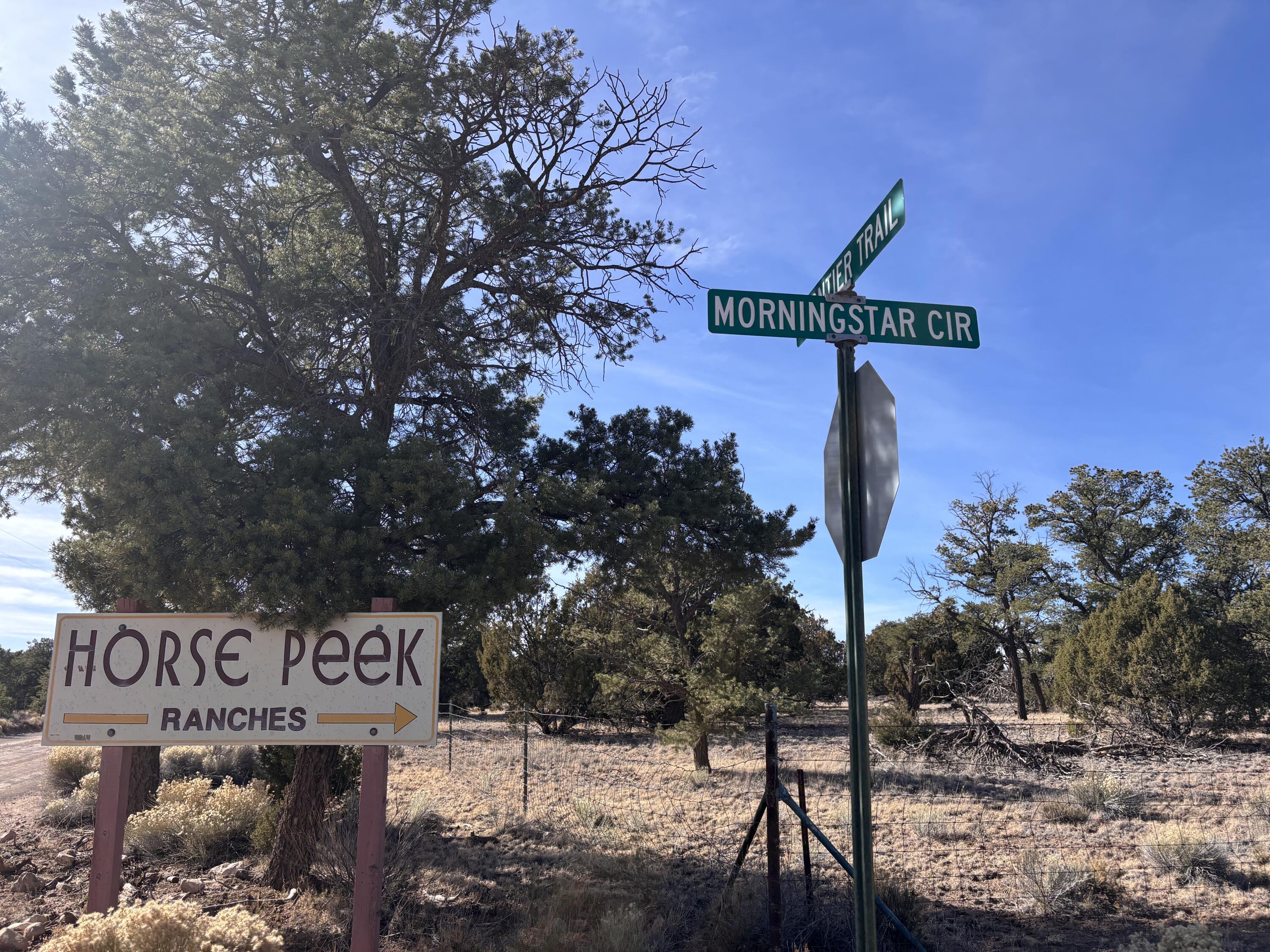 Lot 17 Horse Peek Ranches