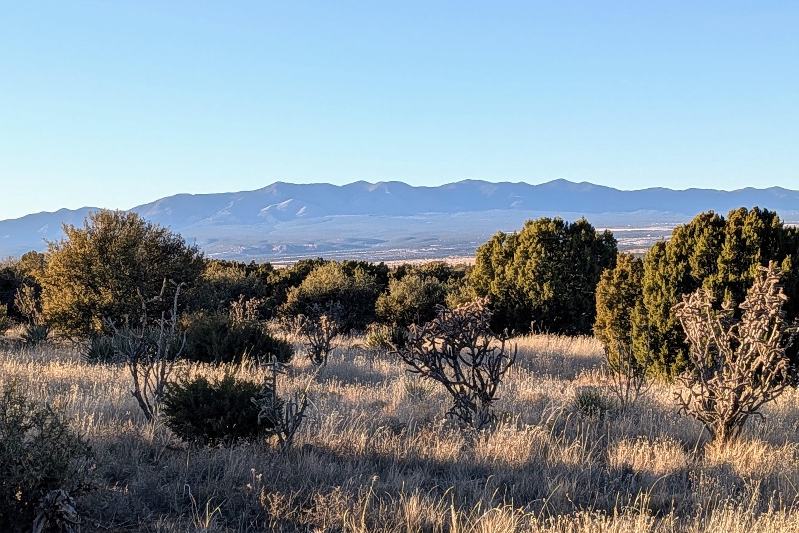 955 Moho Trail