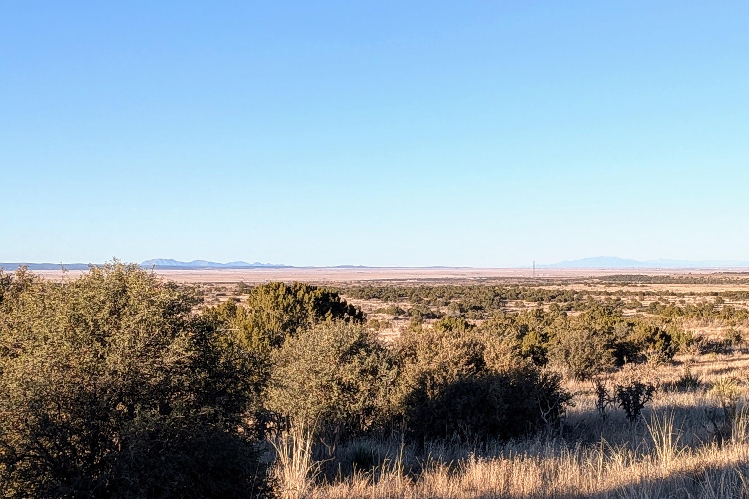 955 Moho Trail