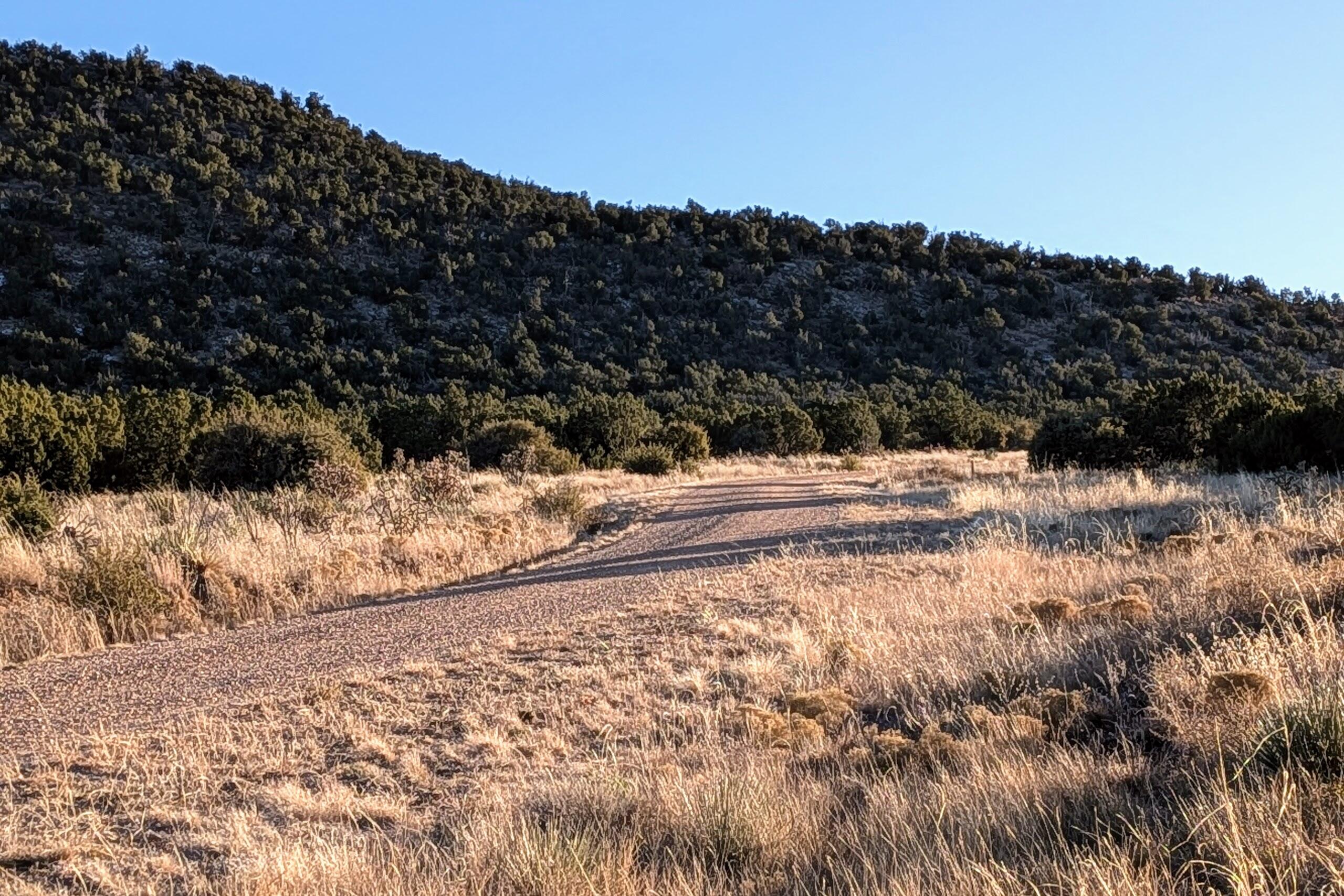 955 Moho Trail