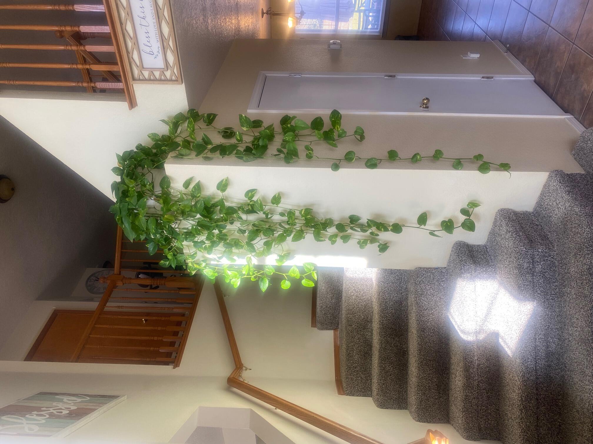 7009 Westford Place NW