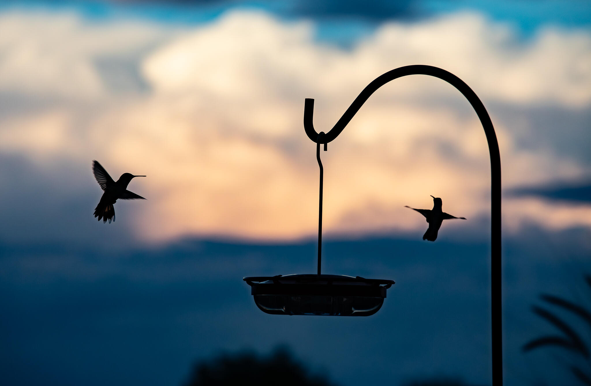 2409 Desert View Road NE