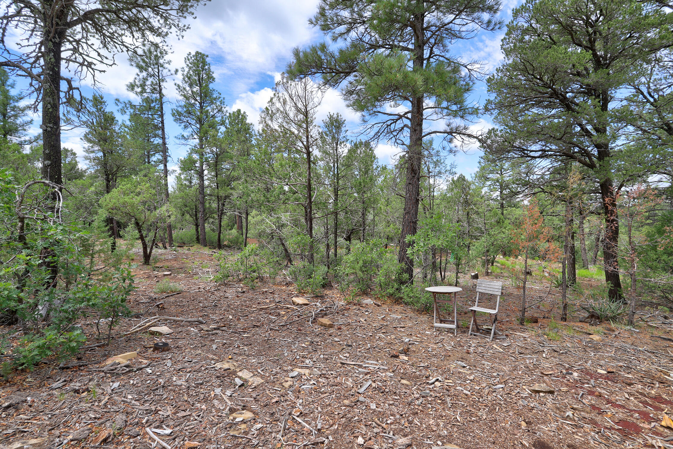 109 Carolino Canyon Road