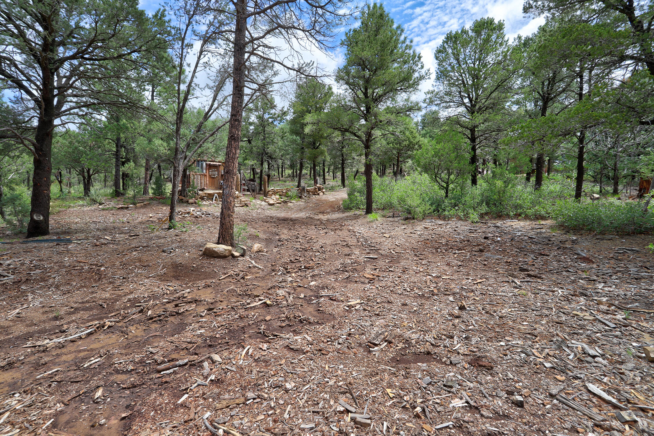 109 Carolino Canyon Road