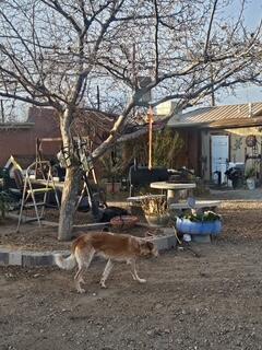 14 Claremont Avenue NW