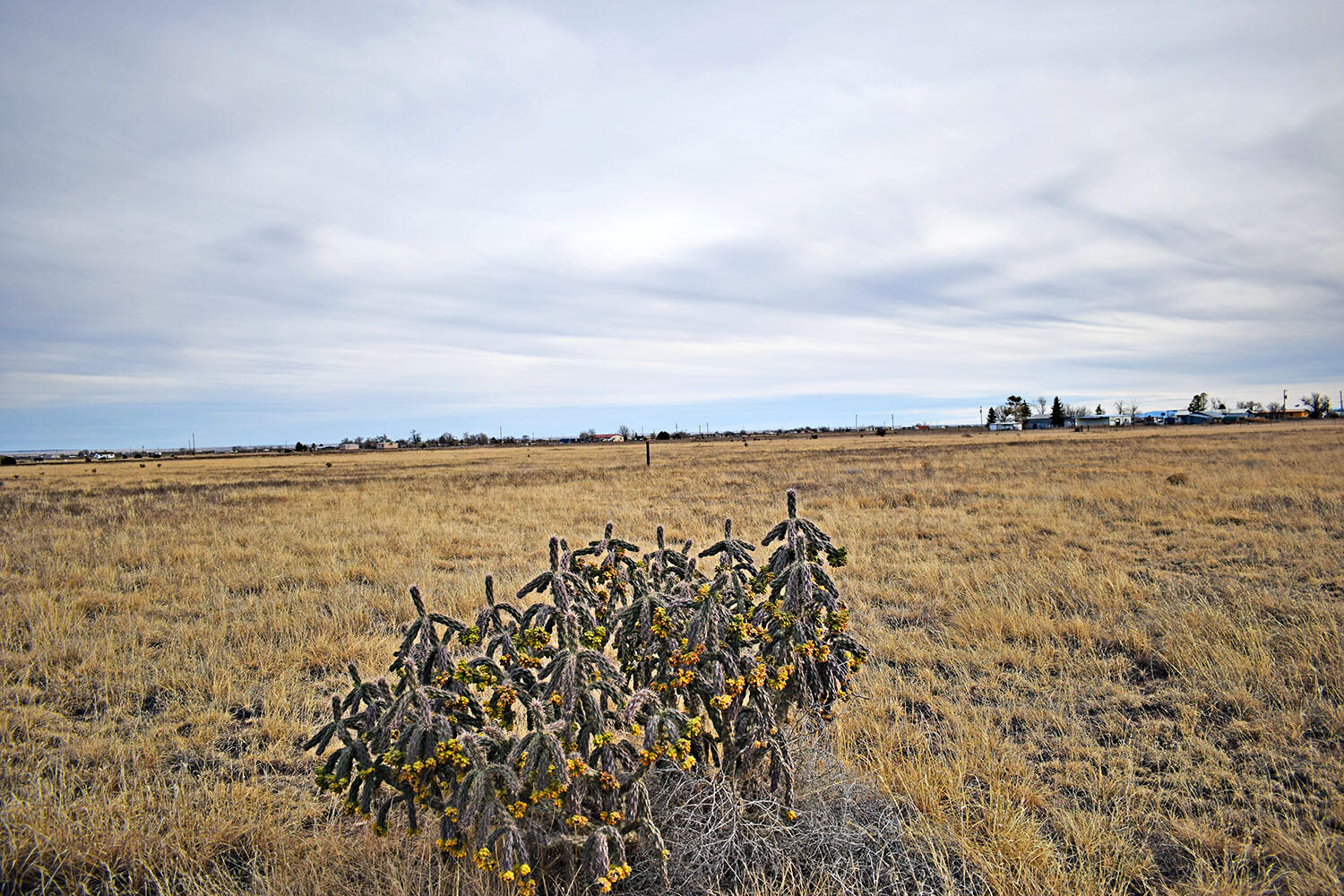 Lot 8 Willow Lake Road