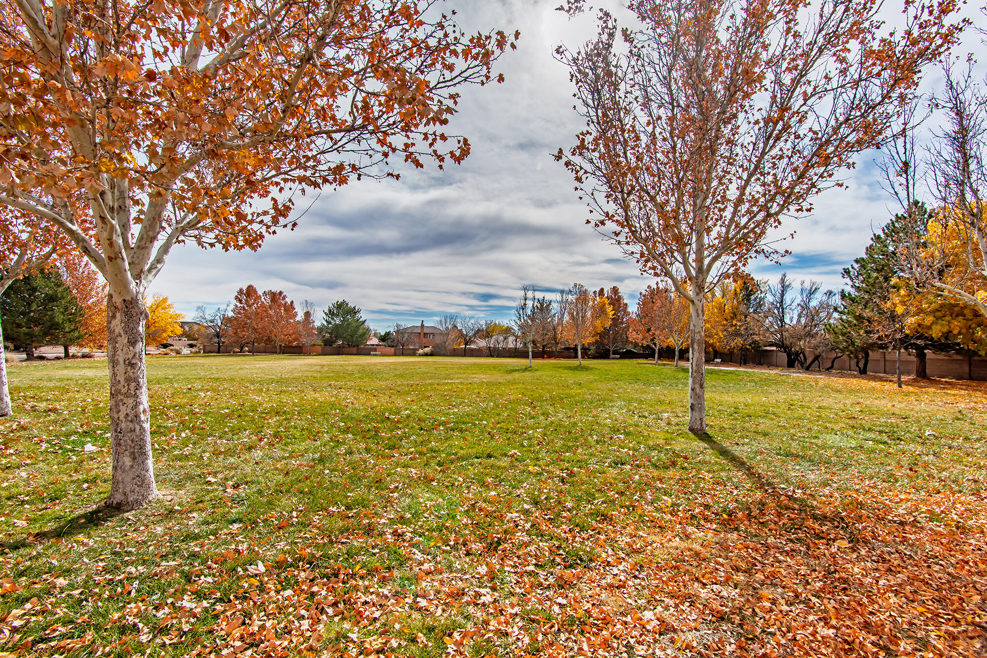 10315 Pintura Place NW