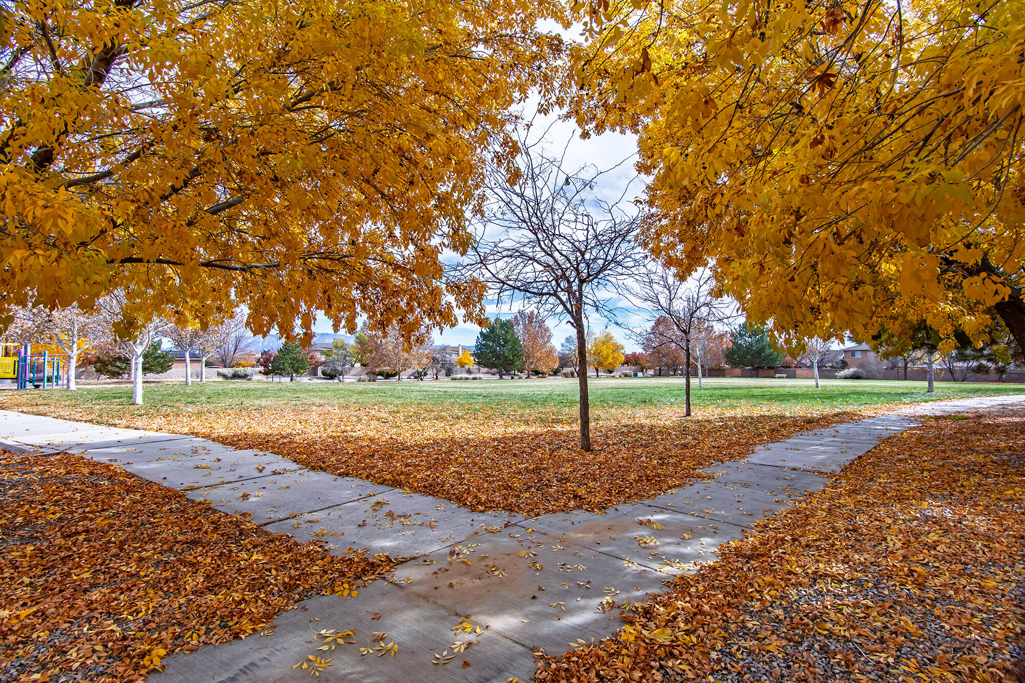 10315 Pintura Place NW