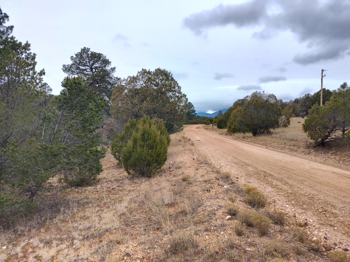 471 Red Bluff Road