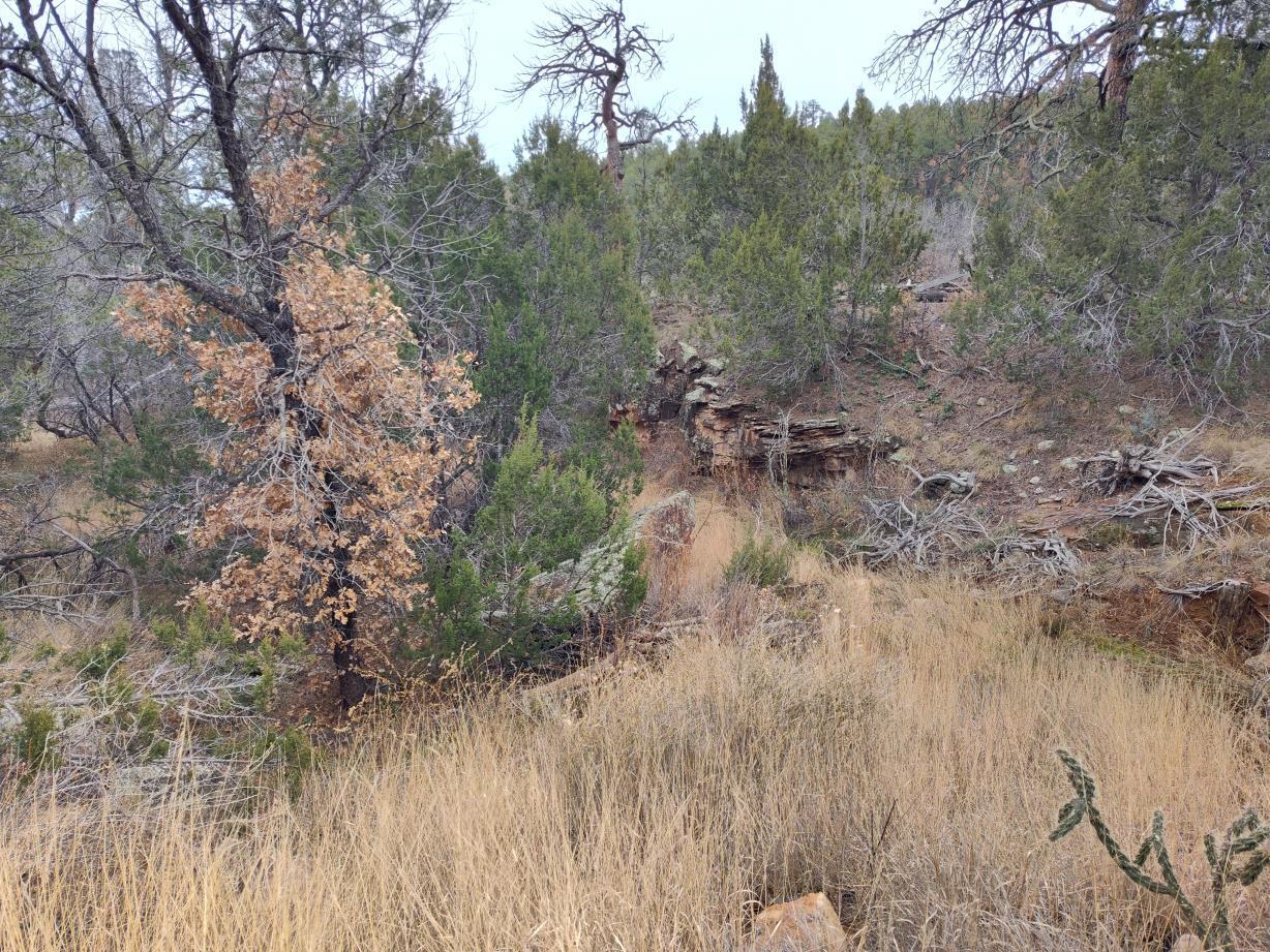 471 Red Bluff Road