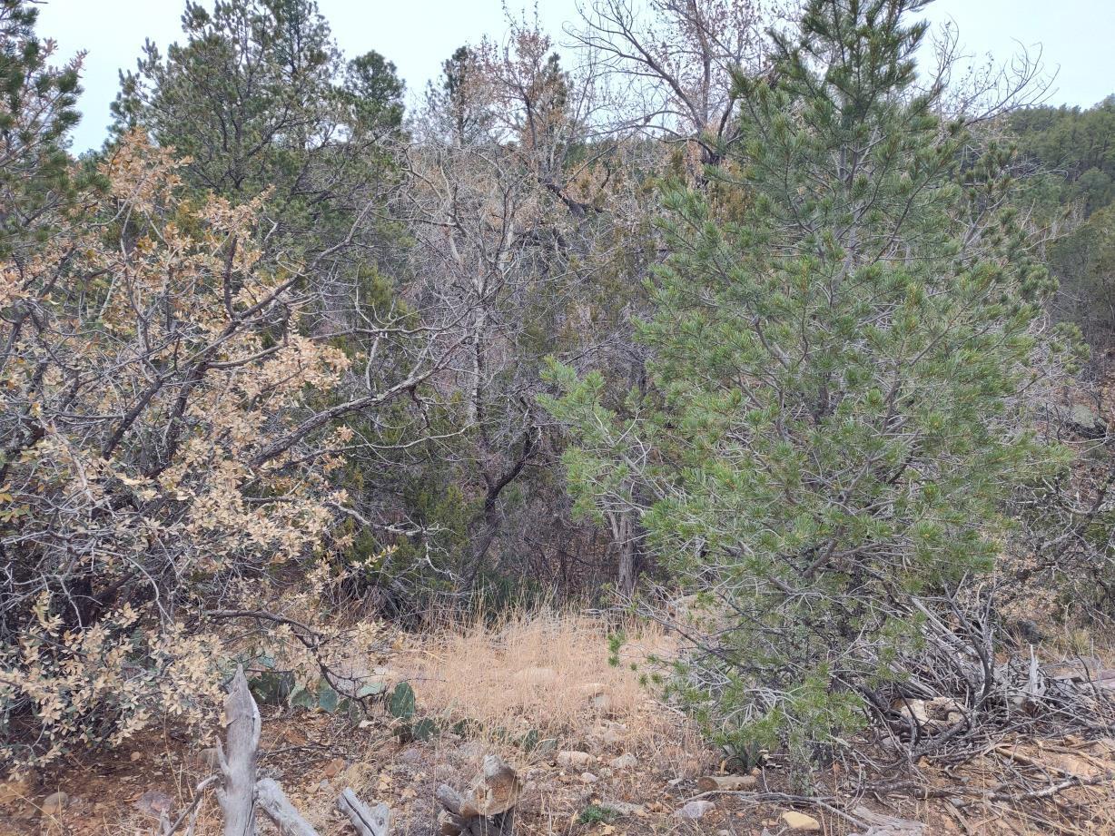 471 Red Bluff Road