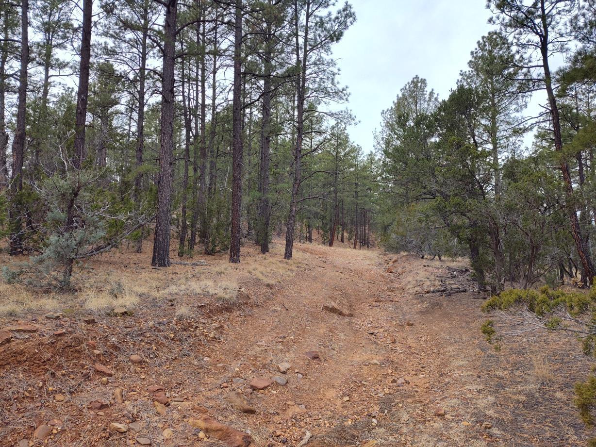 471 Red Bluff Road