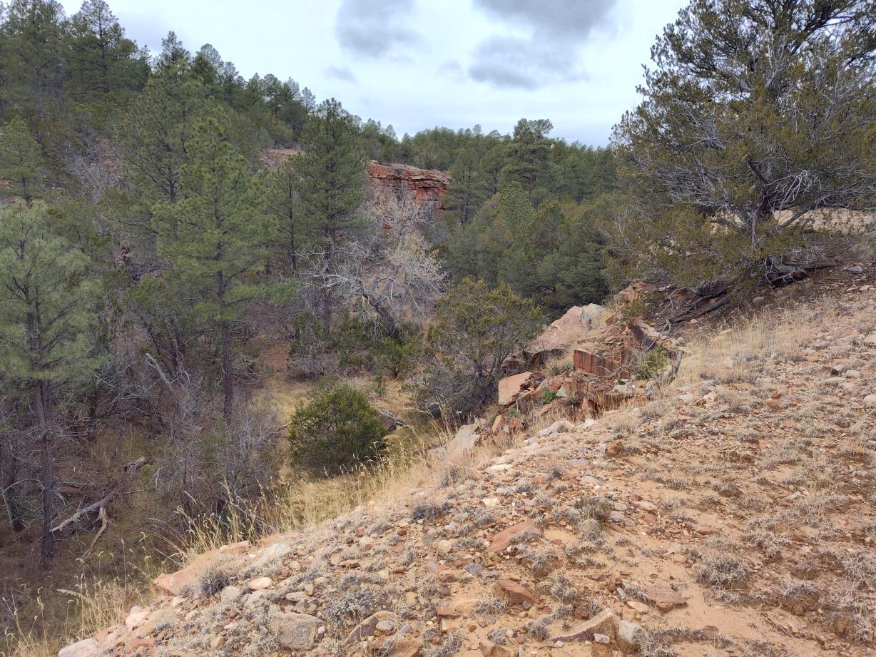 471 Red Bluff Road