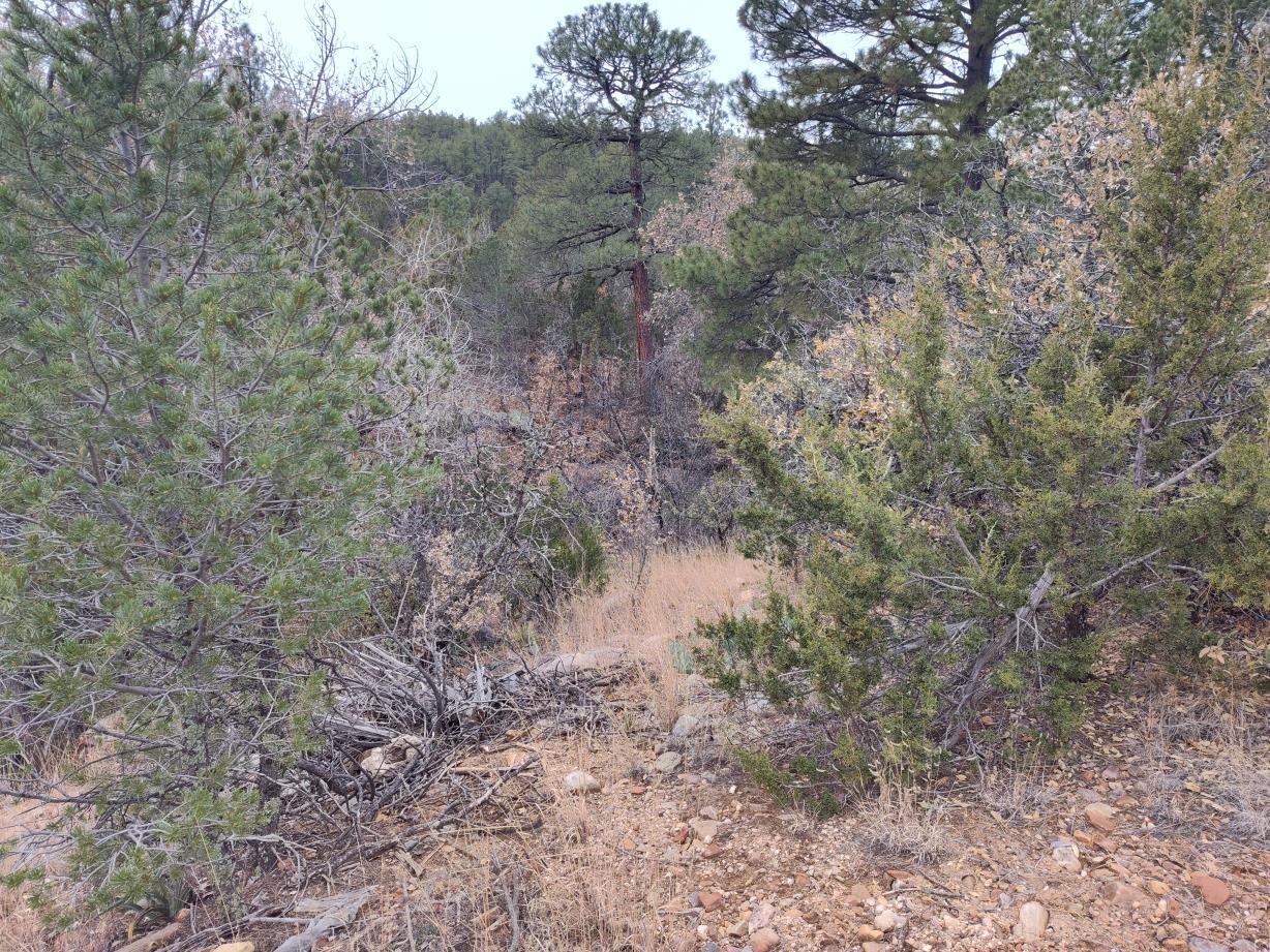 471 Red Bluff Road