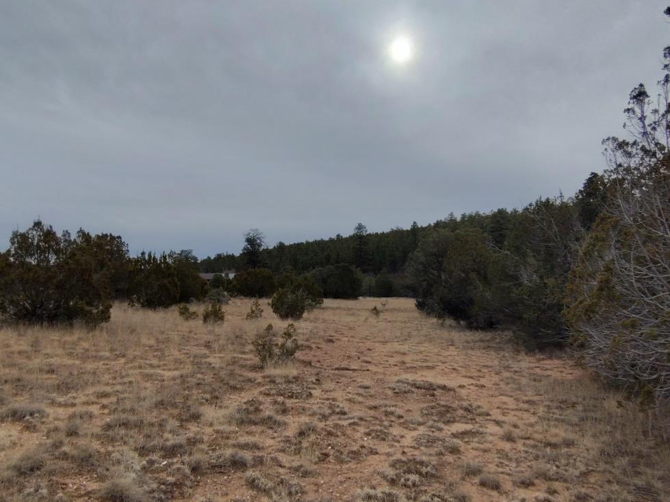 471 Red Bluff Road